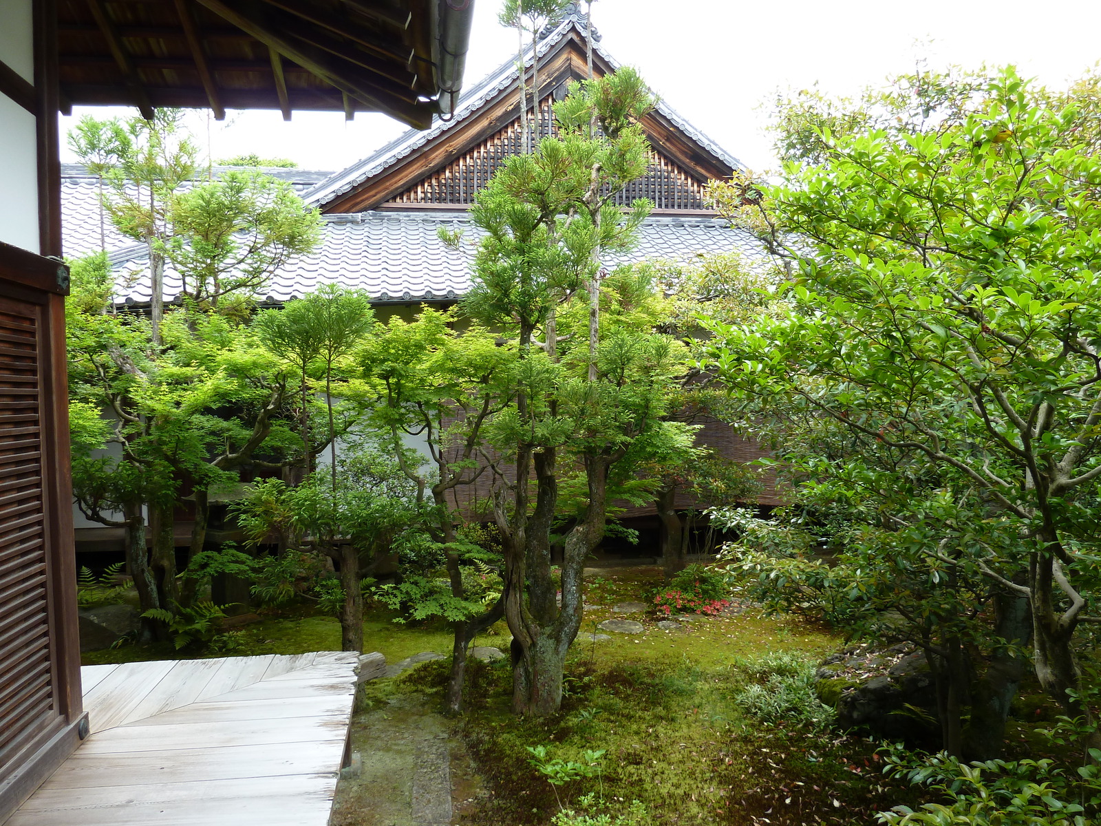 Photo Japon Kyoto résidence impériale Ninna ji 2010-06 9