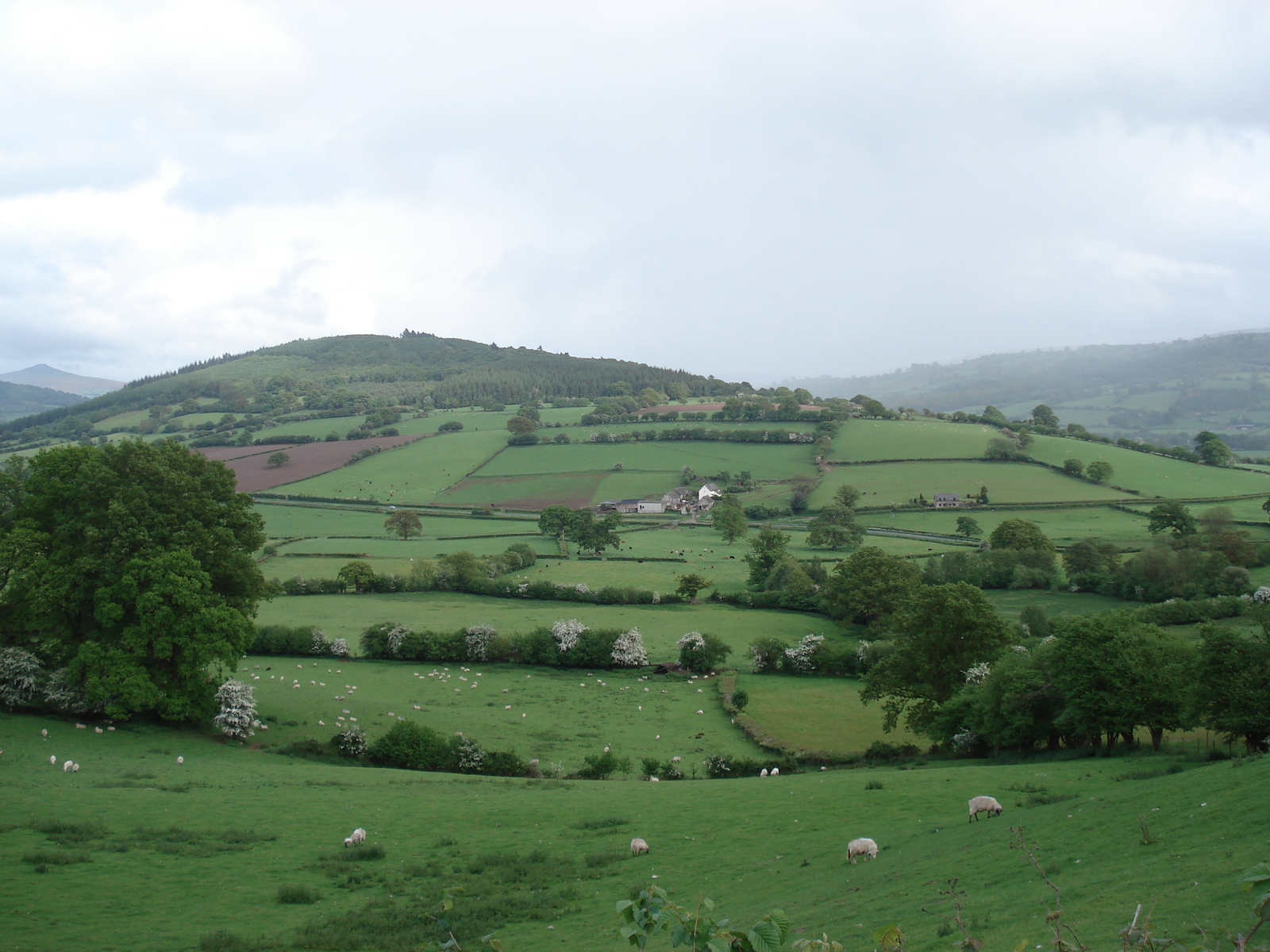 Photo Royaume-Uni Parc national des Brecon Beacons 2006-05 72
