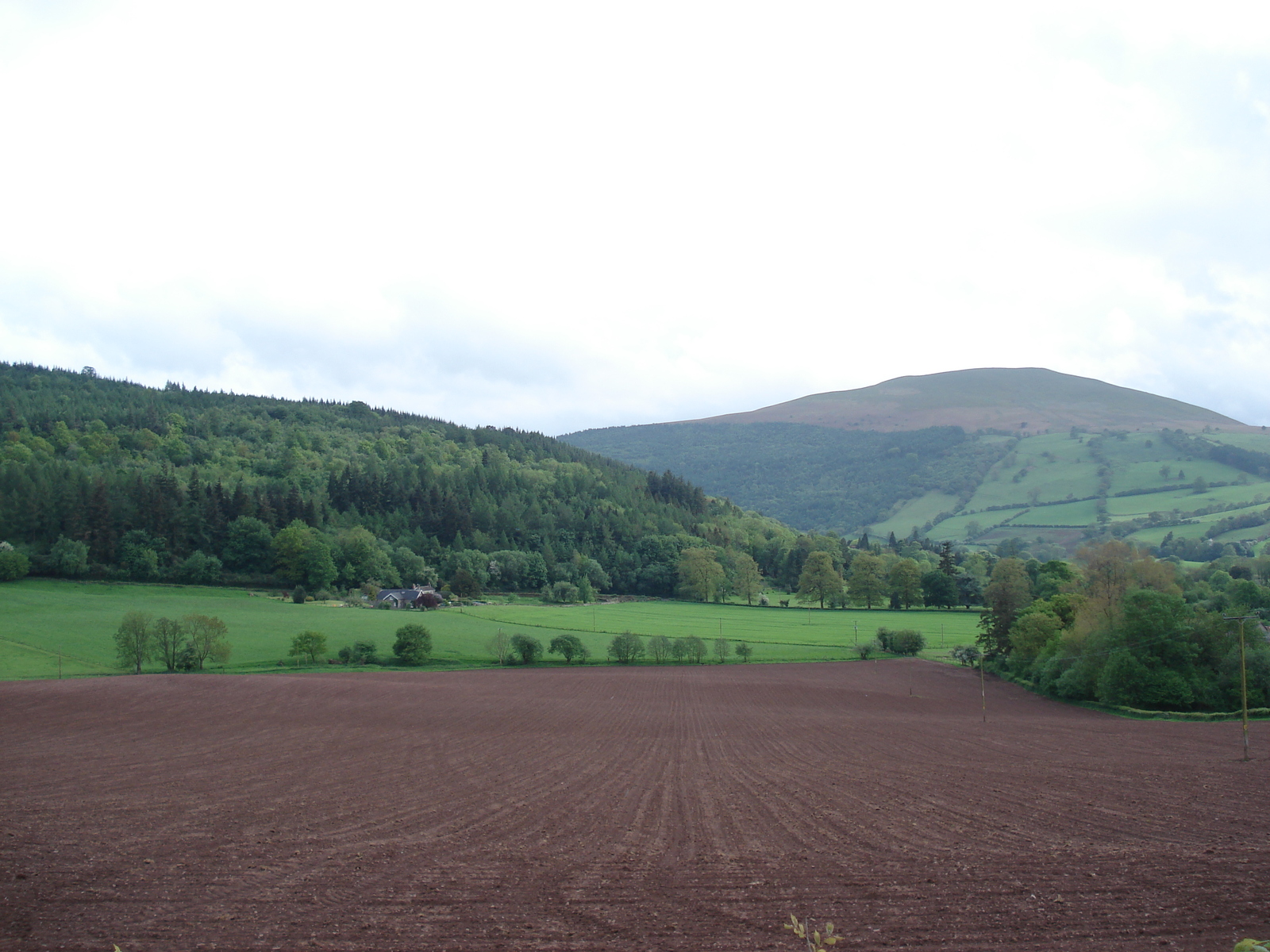 Photo Royaume-Uni Parc national des Brecon Beacons 2006-05 11