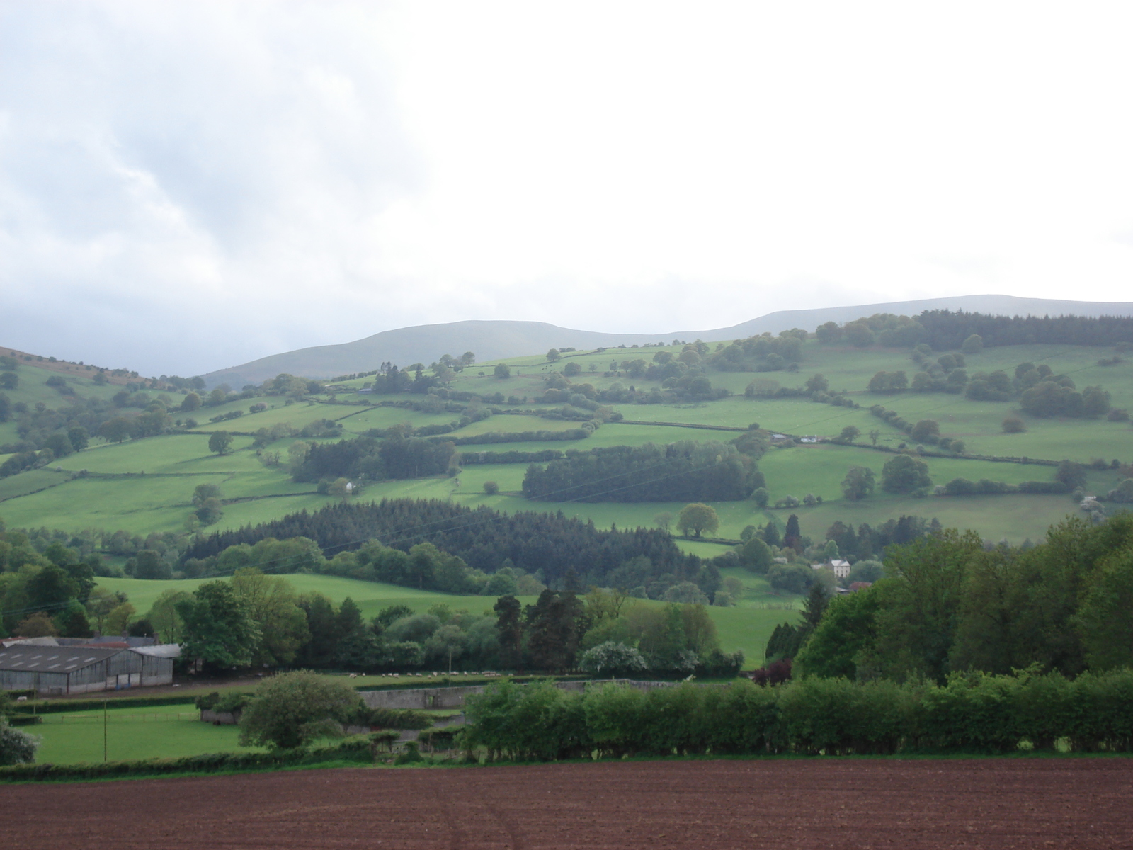 Photo Royaume-Uni Parc national des Brecon Beacons 2006-05 12