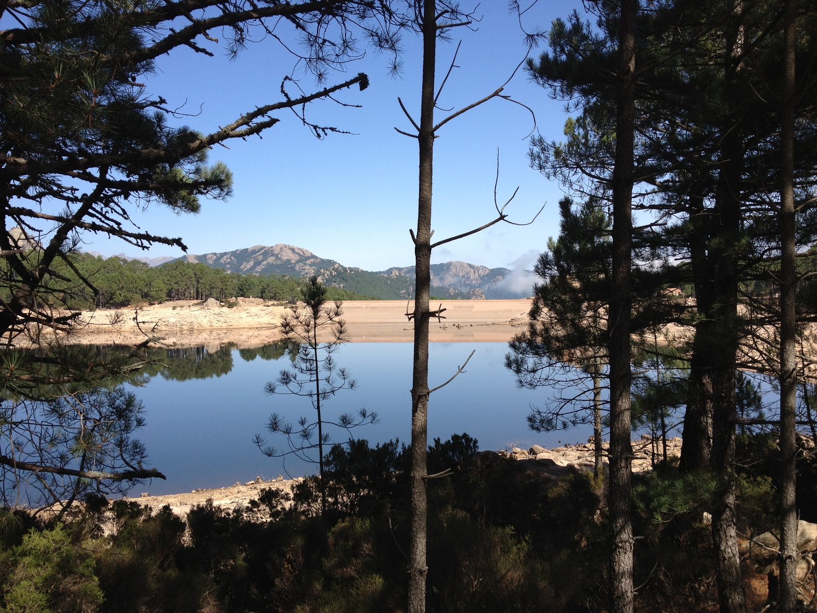 Photo France Corse Forêt de l'Ospedale 2012-09 40