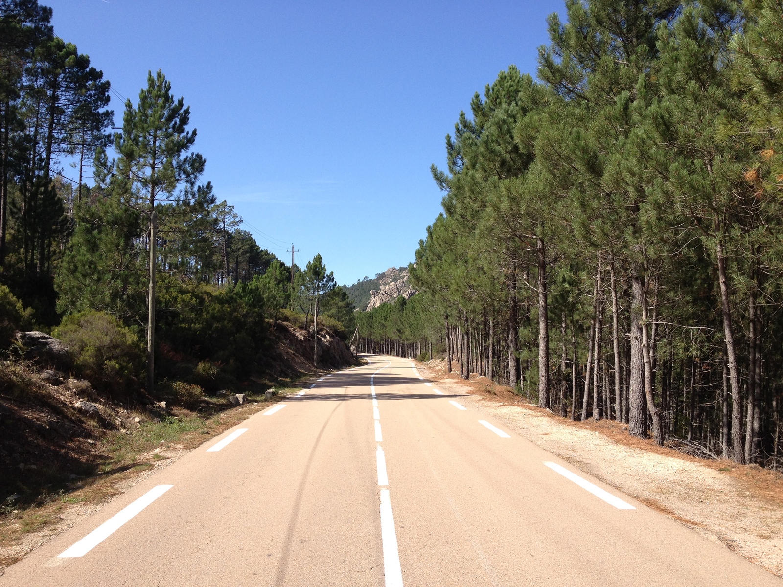 Photo France Corse Forêt de l'Ospedale 2012-09 61