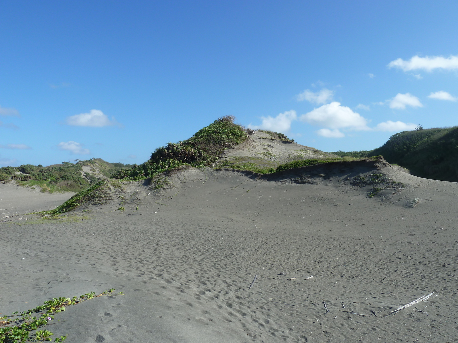 Photo Îles Fidji Parc des dunes de Sigatoka 2010-05 24