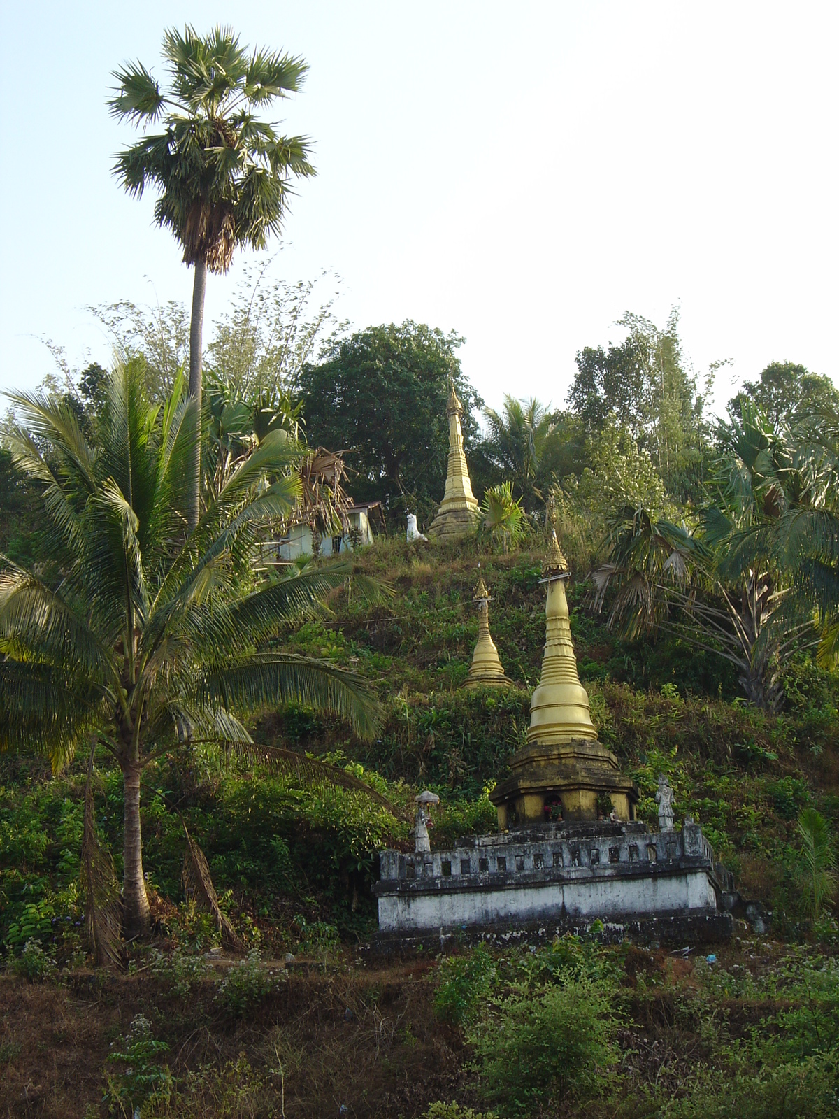 Photo Birmanie (Myanmar) Route de Dawei à Maungmagan 2005-01 38