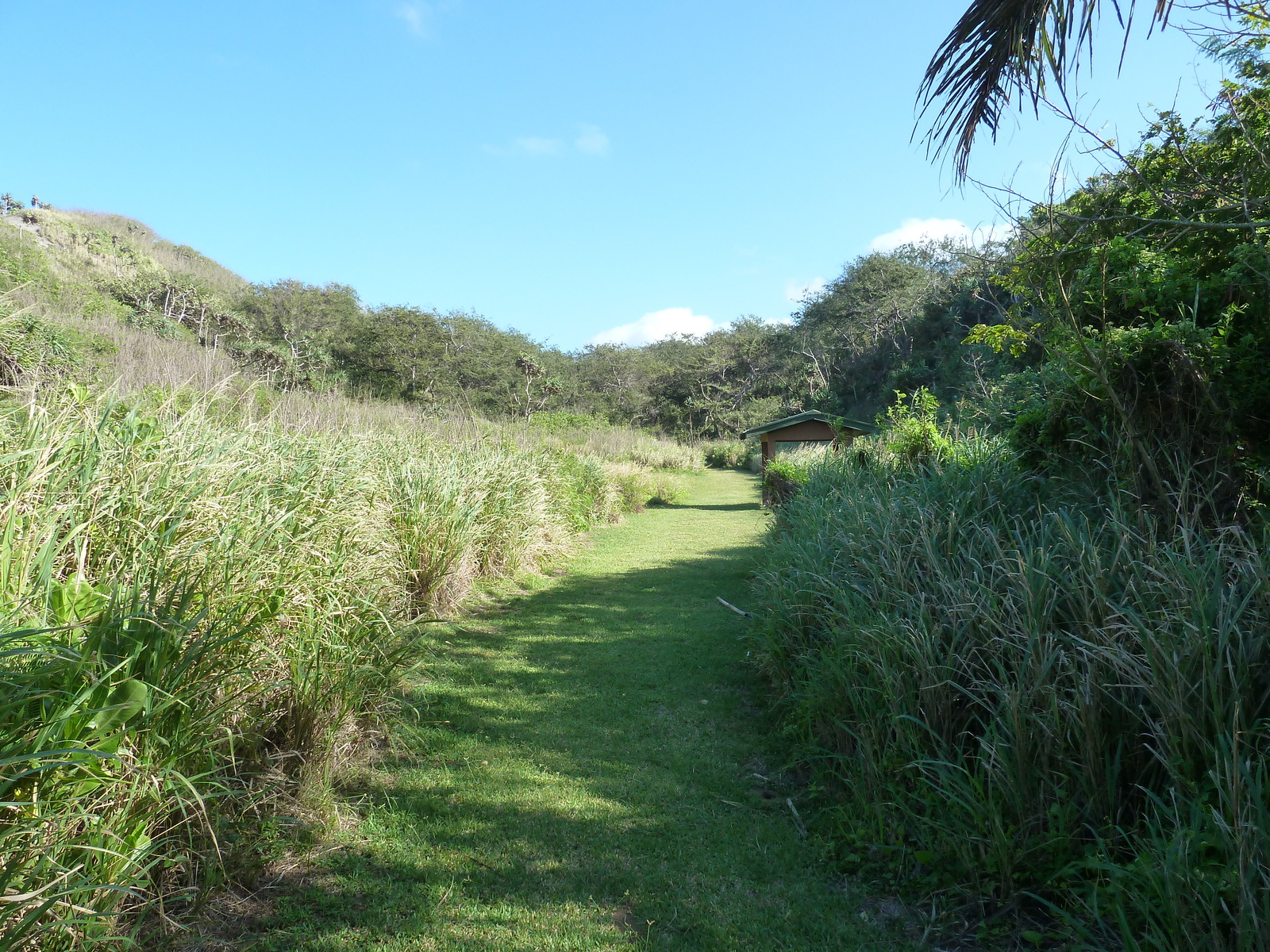 Photo Îles Fidji Parc des dunes de Sigatoka 2010-05 35