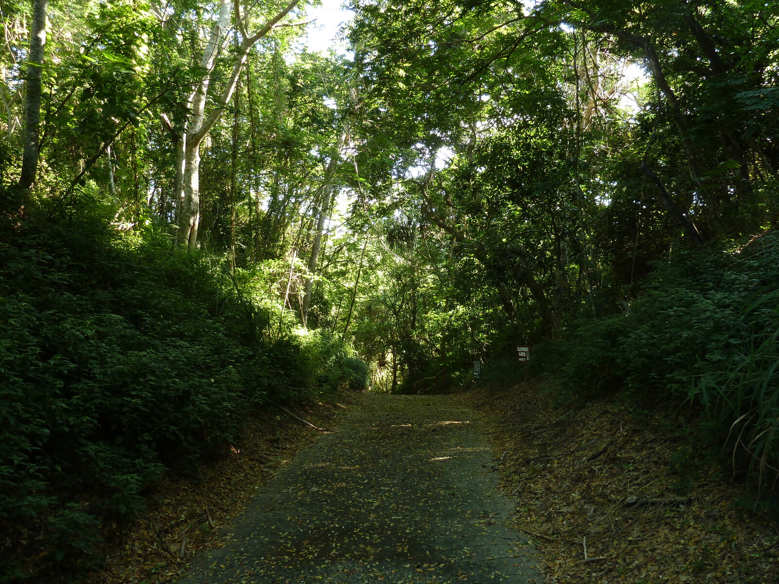 Photo Îles Fidji Parc des dunes de Sigatoka 2010-05 9