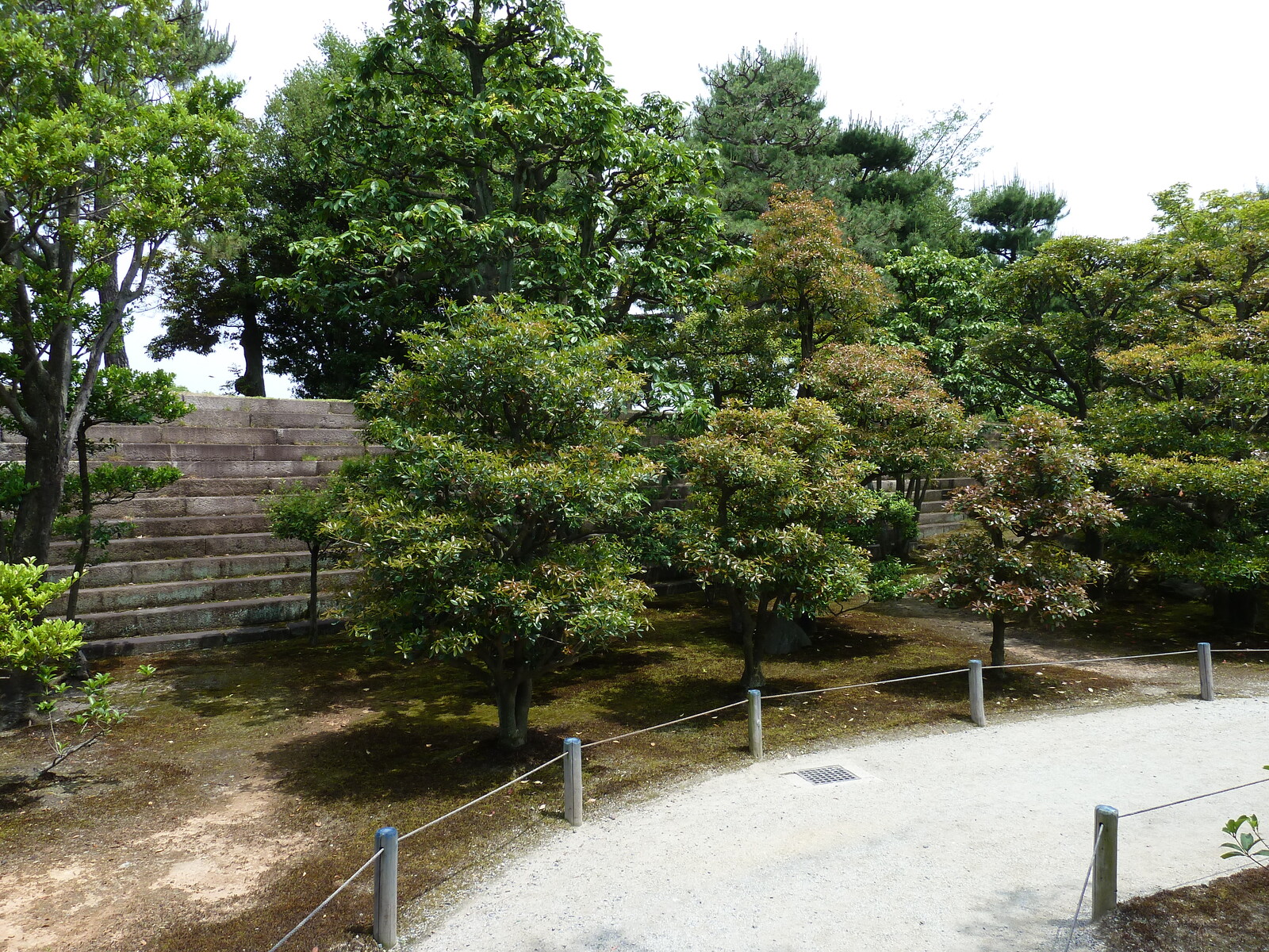 Photo Japon Kyoto Château Nijo Palais Honmaru 2010-06 27