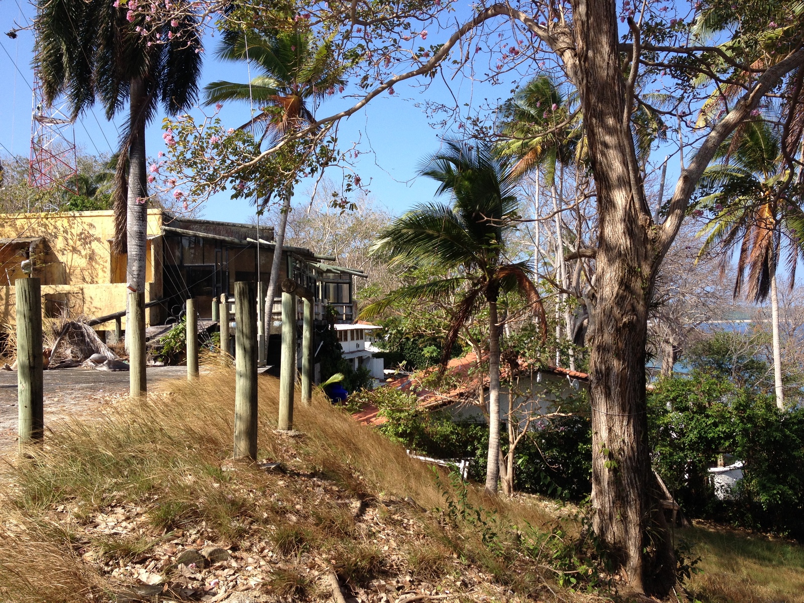 Photo Panama Ile de Contadora 2015-03 25