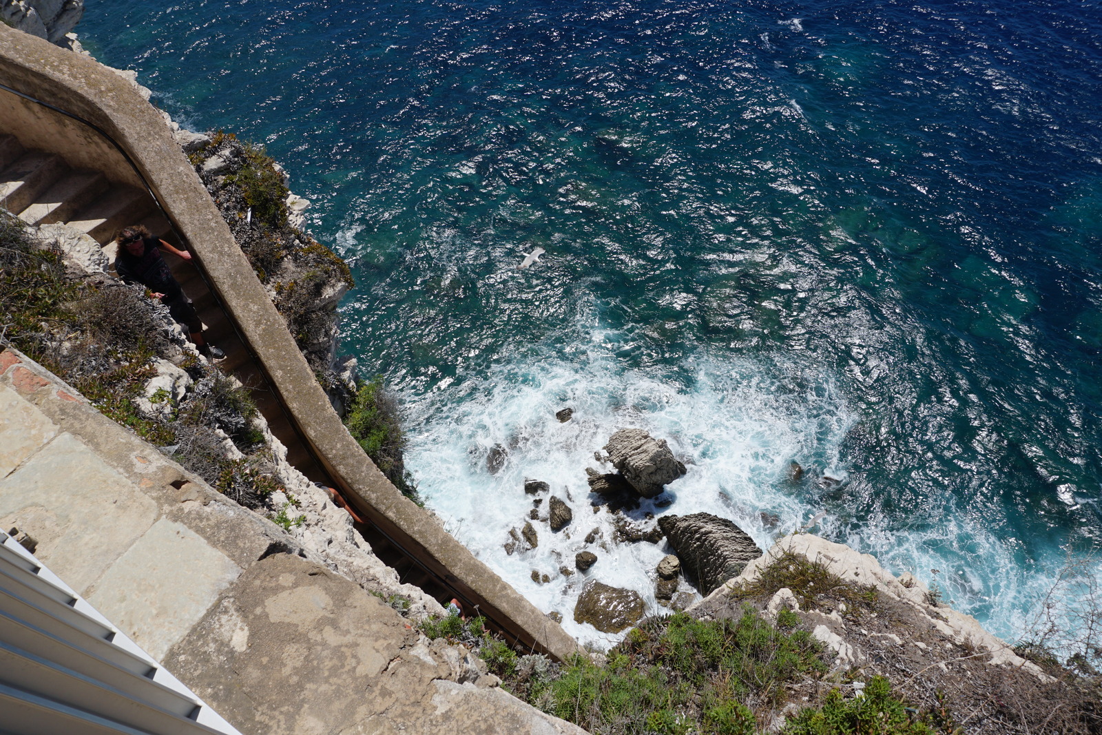 Photo France Corse Bonifacio 2017-07 35