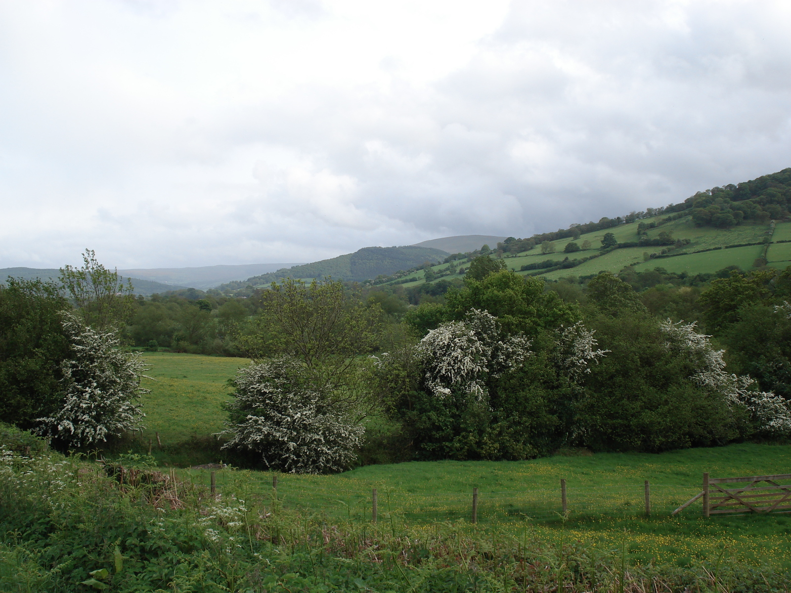 Photo Royaume-Uni Parc national des Brecon Beacons 2006-05 122