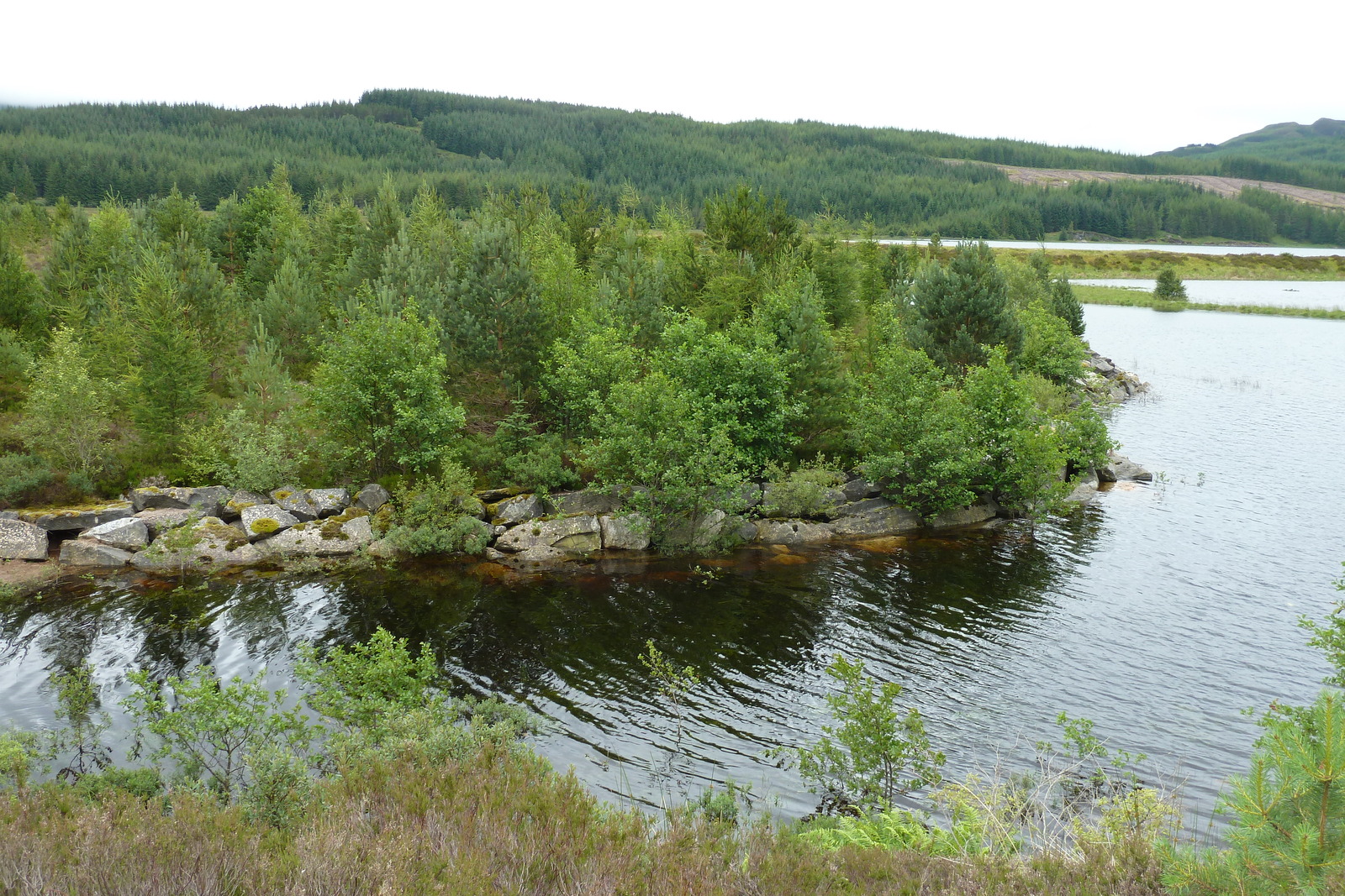 Photo Royaume-Uni Écosse Route de Aviemore à Loch Laggan 2011-07 20