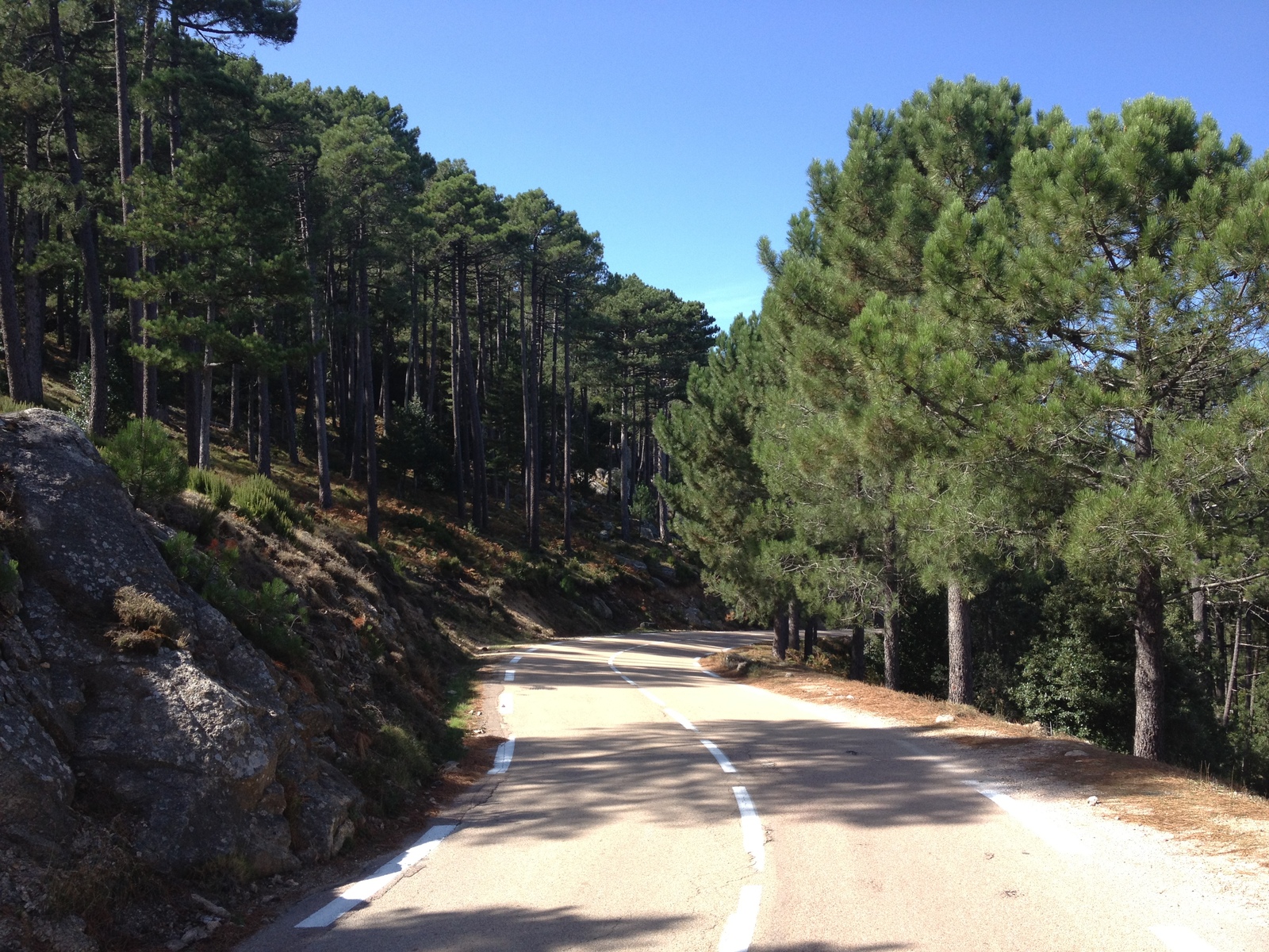 Photo France Corse Forêt de l'Ospedale 2012-09 10