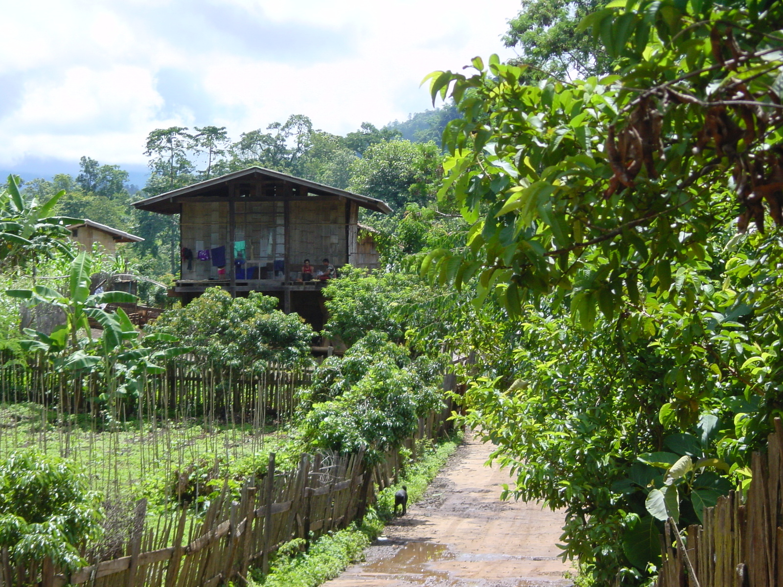 Photo Thaïlande Mae Hong Son 2003-07 75