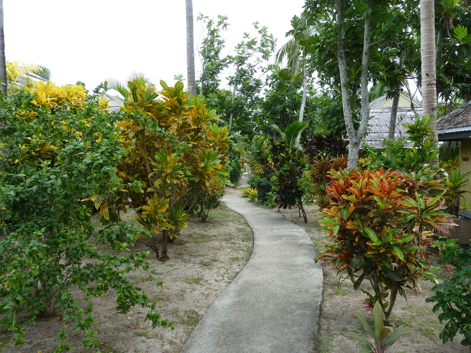 Photo Îles Fidji Amunuca Island Resort 2010-05 19
