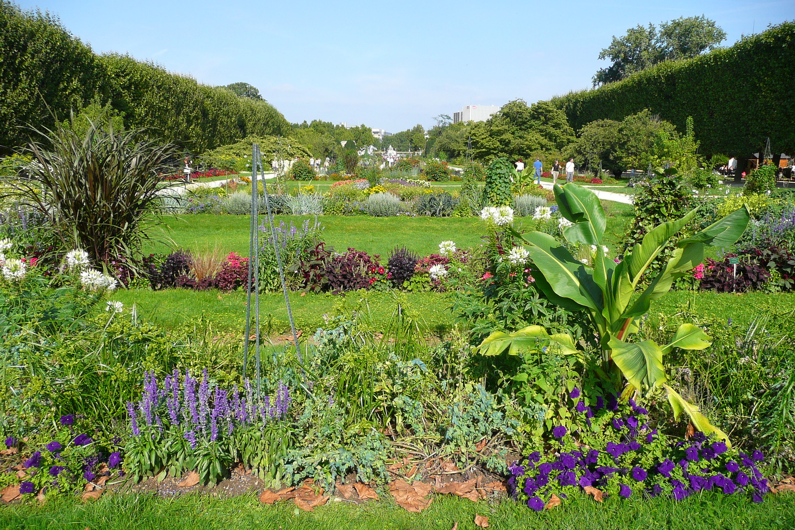 Photo France Paris Jardin des Plantes 2007-08 227