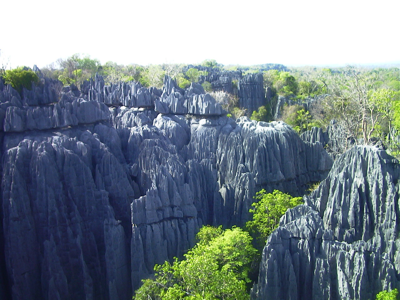 Photo Madagascar Tsingy 1999-10 5