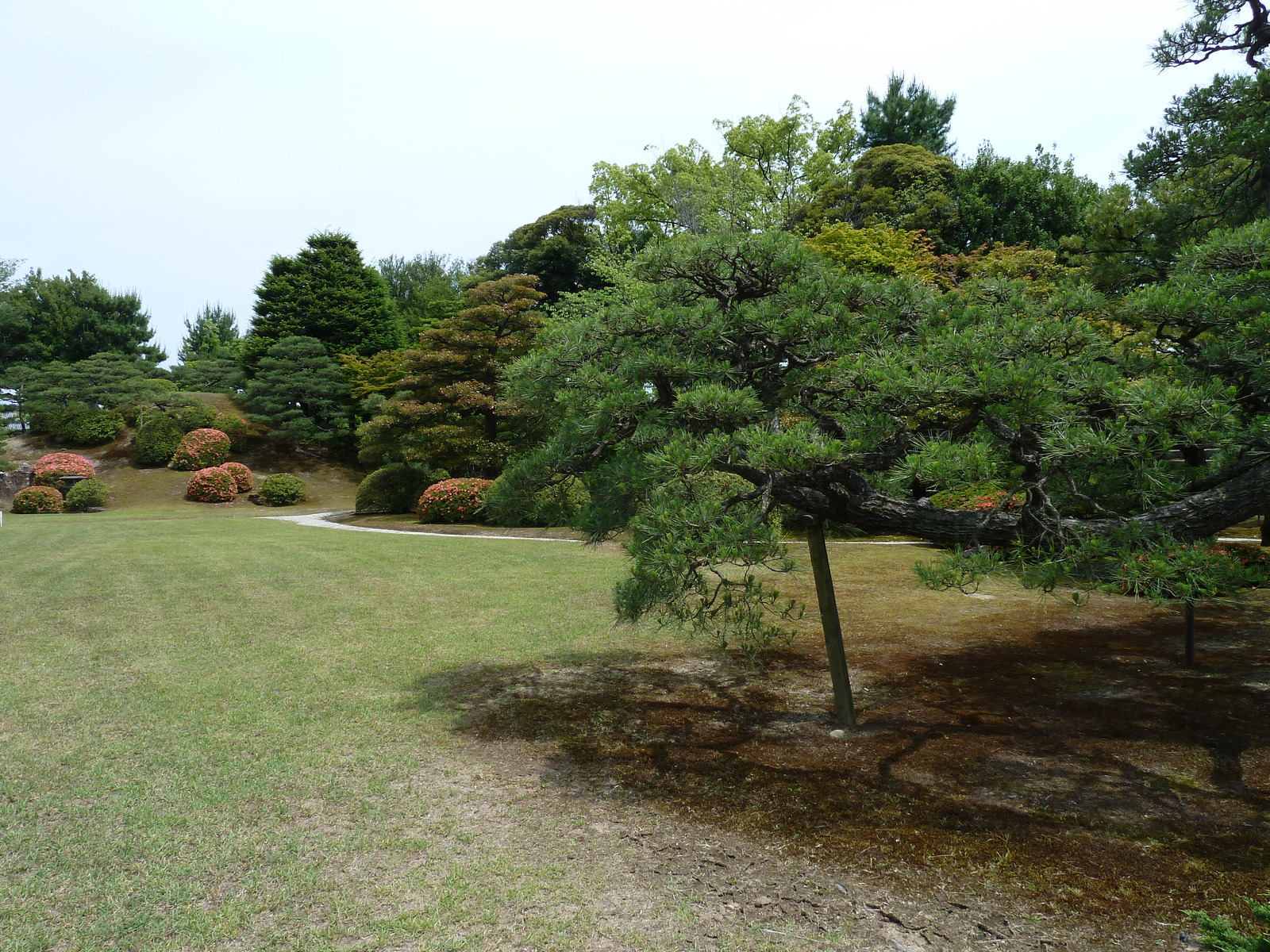 Photo Japon Kyoto Château Nijo Palais Honmaru 2010-06 33