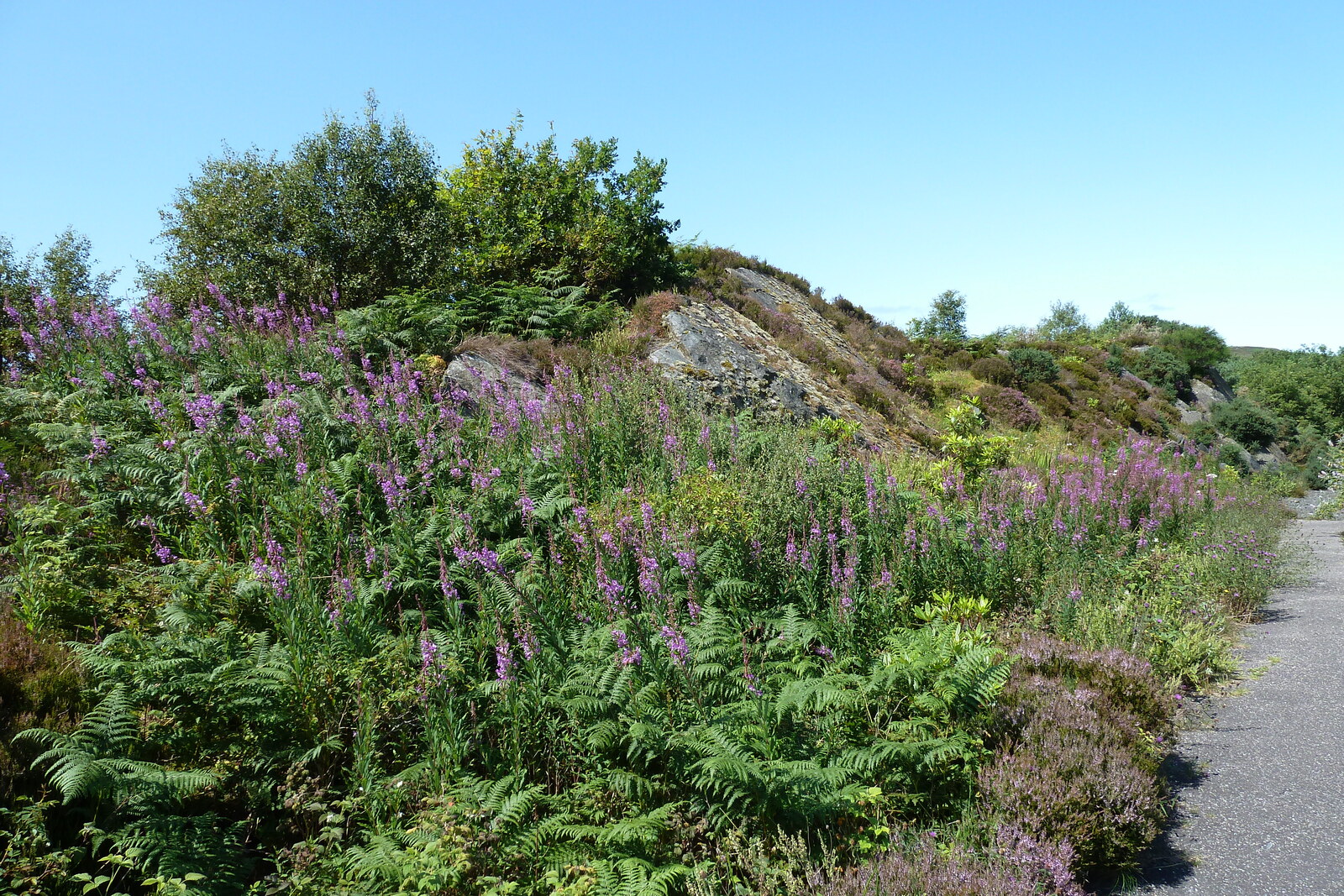 Photo Royaume-Uni Écosse Arisaig 2011-07 87