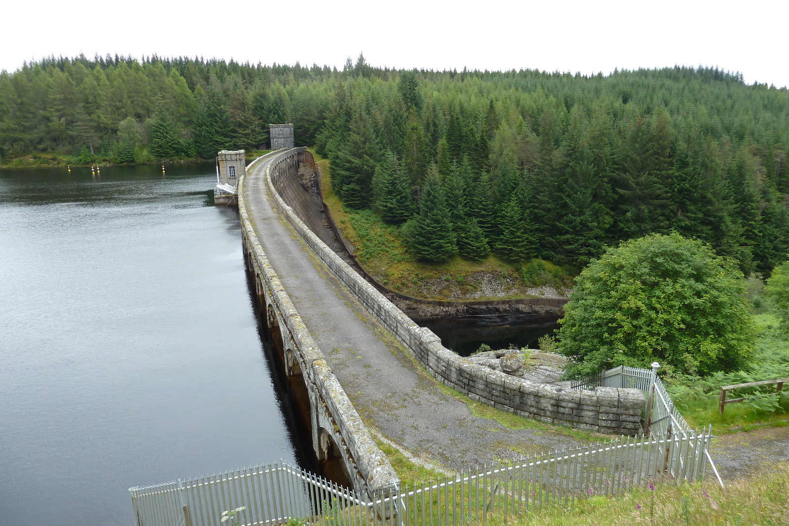 Photo Royaume-Uni Écosse Route de Aviemore à Loch Laggan 2011-07 8