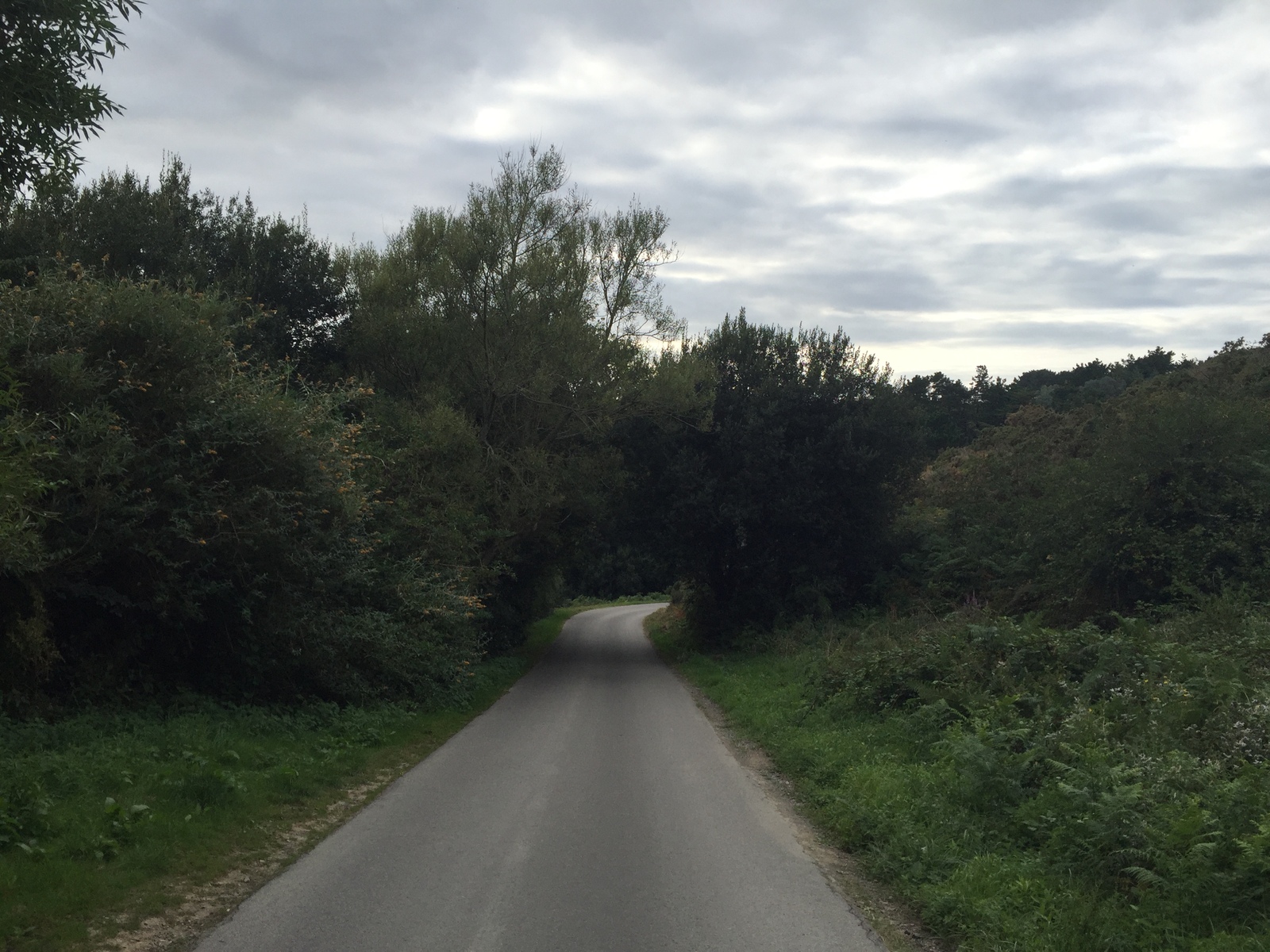 Photo France Belle-Ile 2016-08 135
