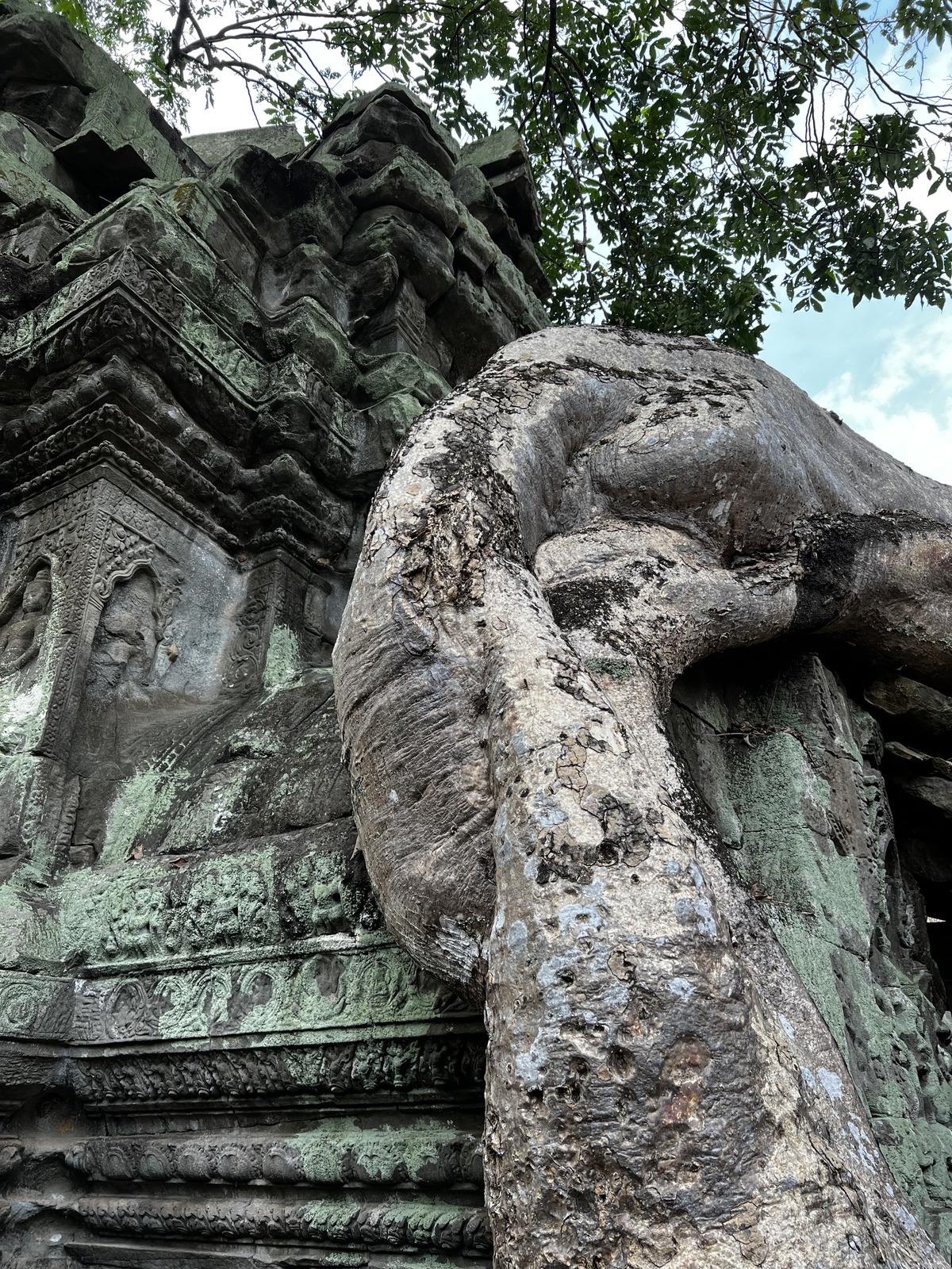 Photo Cambodge Siem Reap Ta Prohm 2023-01 19