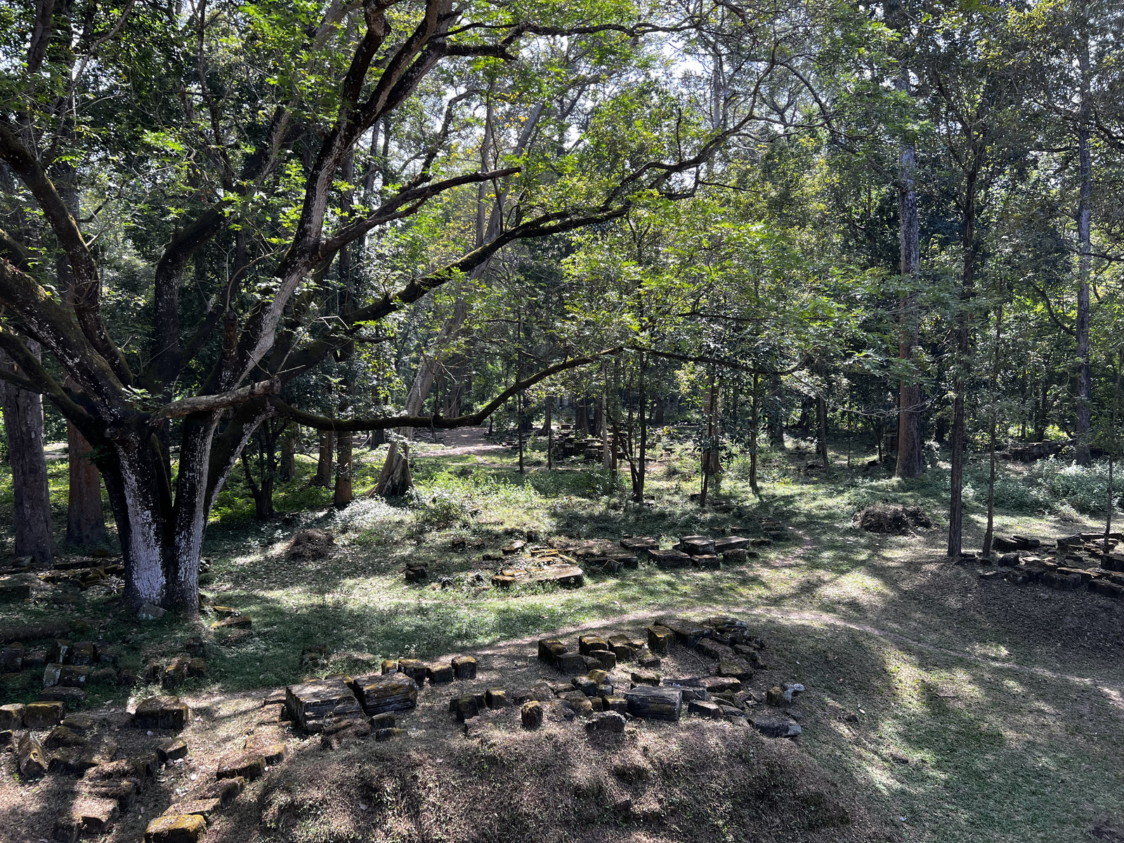 Photo Cambodge Siem Reap Baphuon 2023-01 63