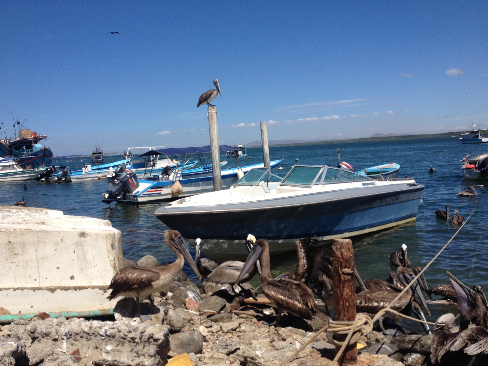 Photo Costa Rica Puntarenas 2015-03 97