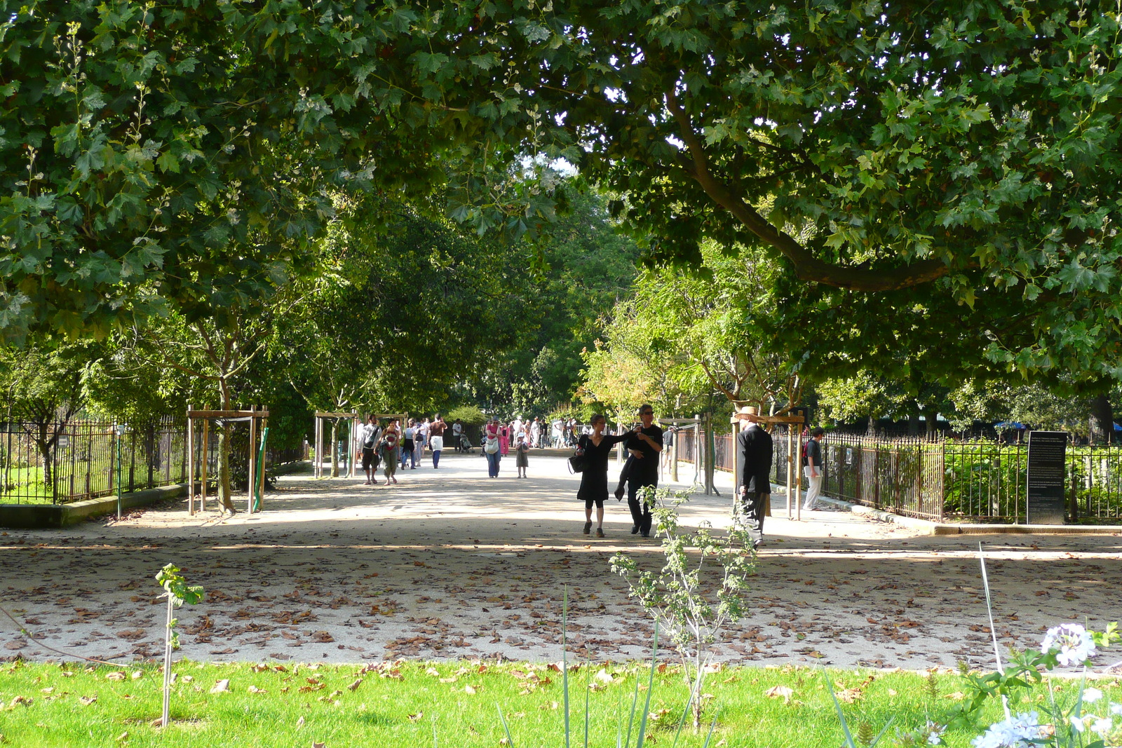 Photo France Paris Jardin des Plantes 2007-08 171