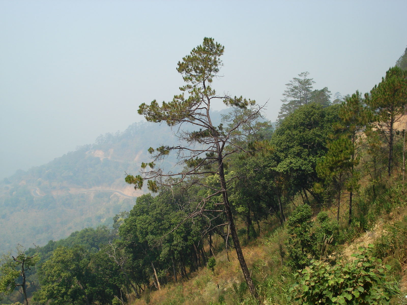 Photo Thaïlande Route de Pang Mapha à Pai 2007-02 57