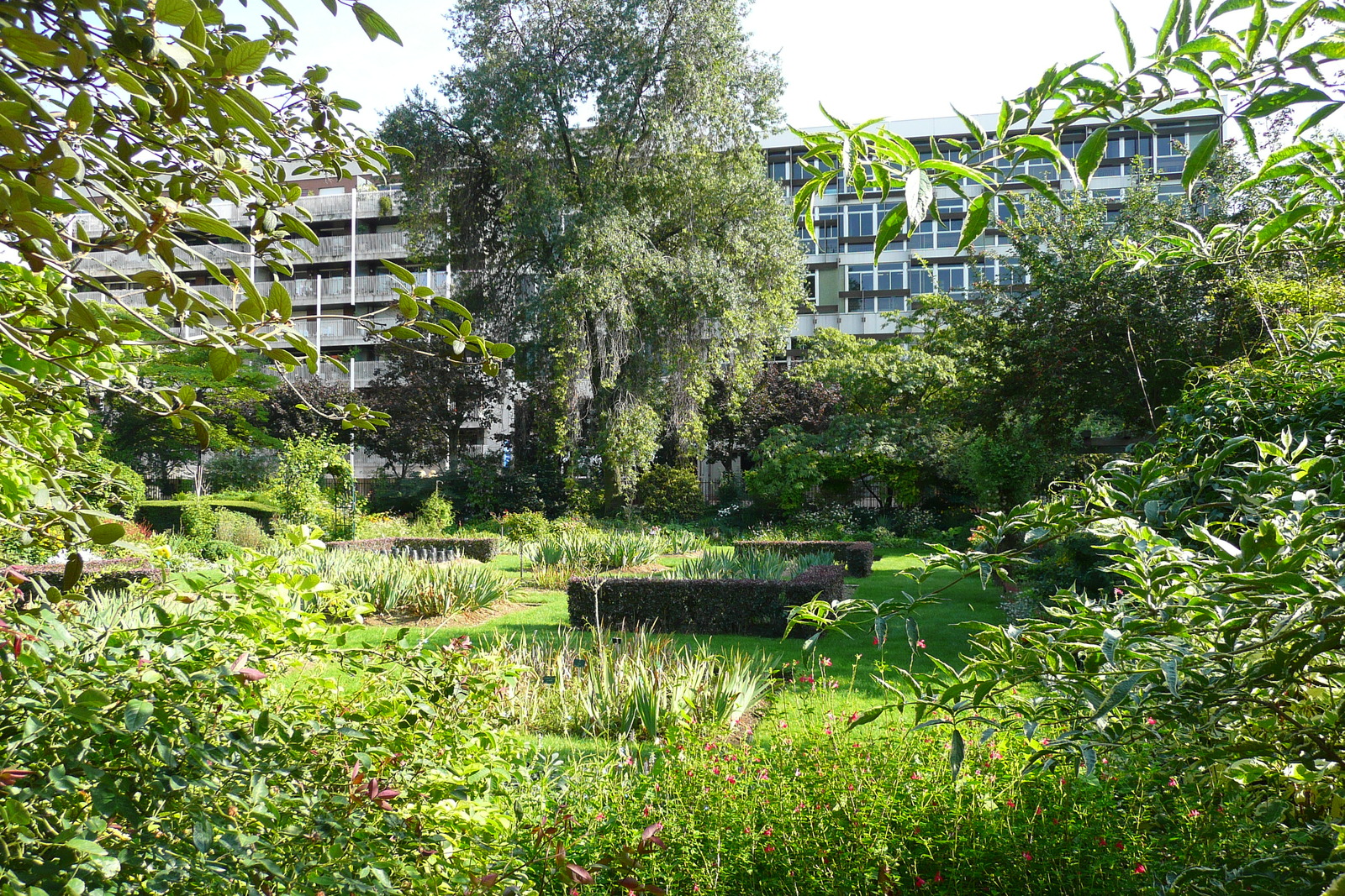 Photo France Paris Jardin des Plantes 2007-08 210