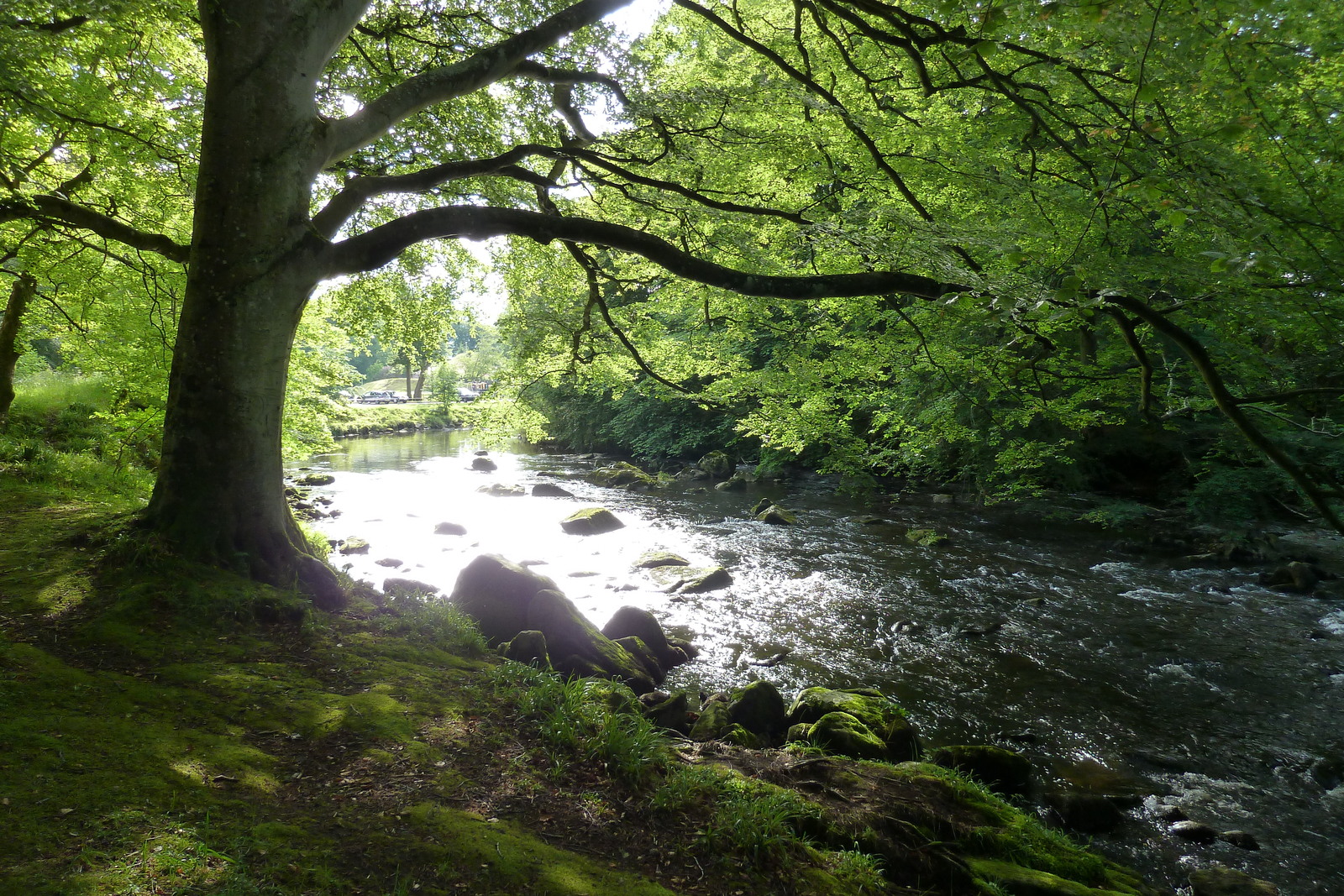 Photo Royaume-Uni Écosse Huntly 2011-07 23