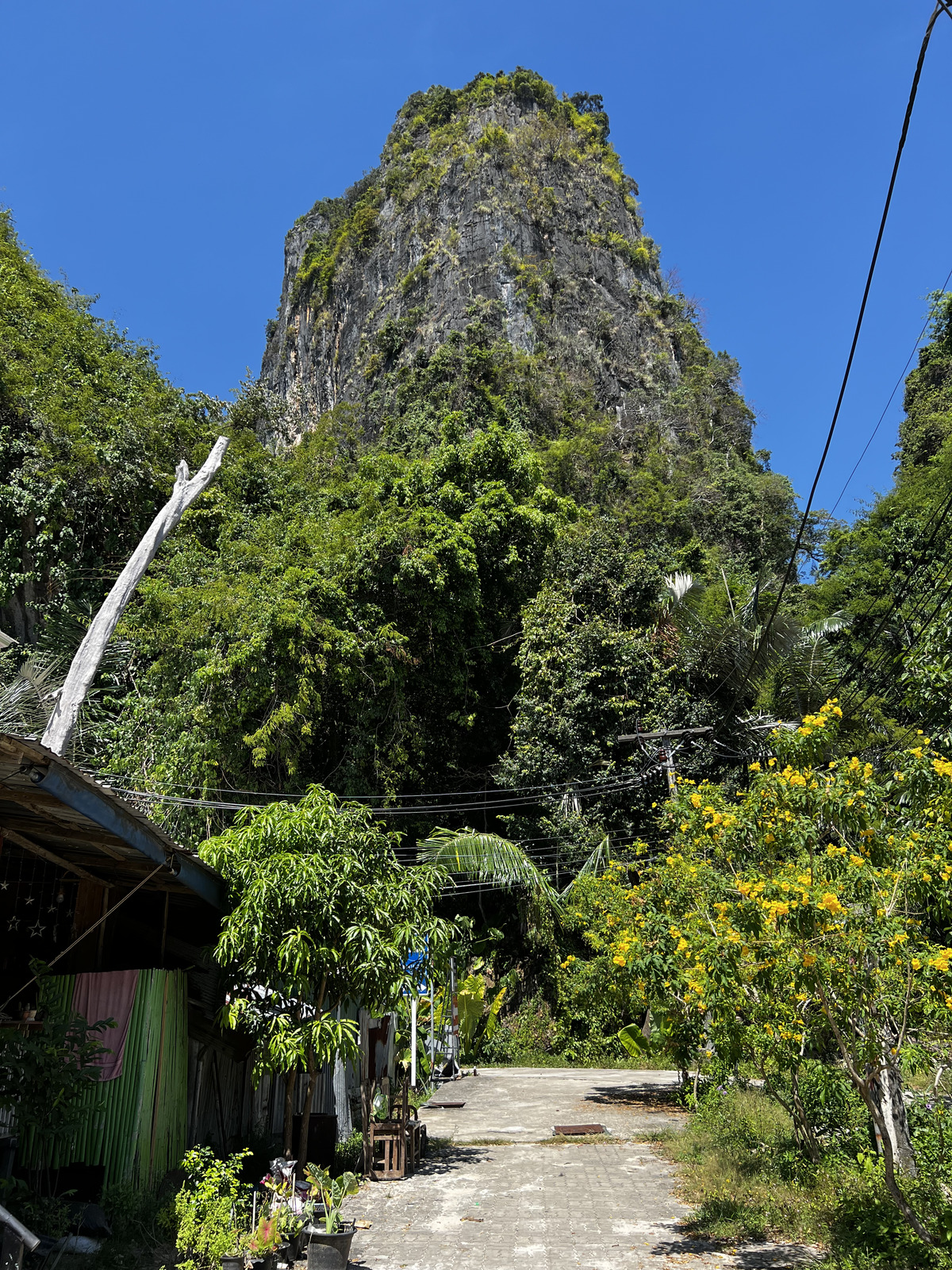 Photo Thaïlande Krabi 2023-01 80