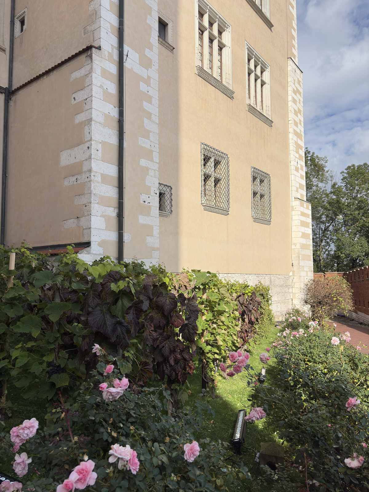 Photo Pologne Cracovie Château du Wawel 2026-09 243