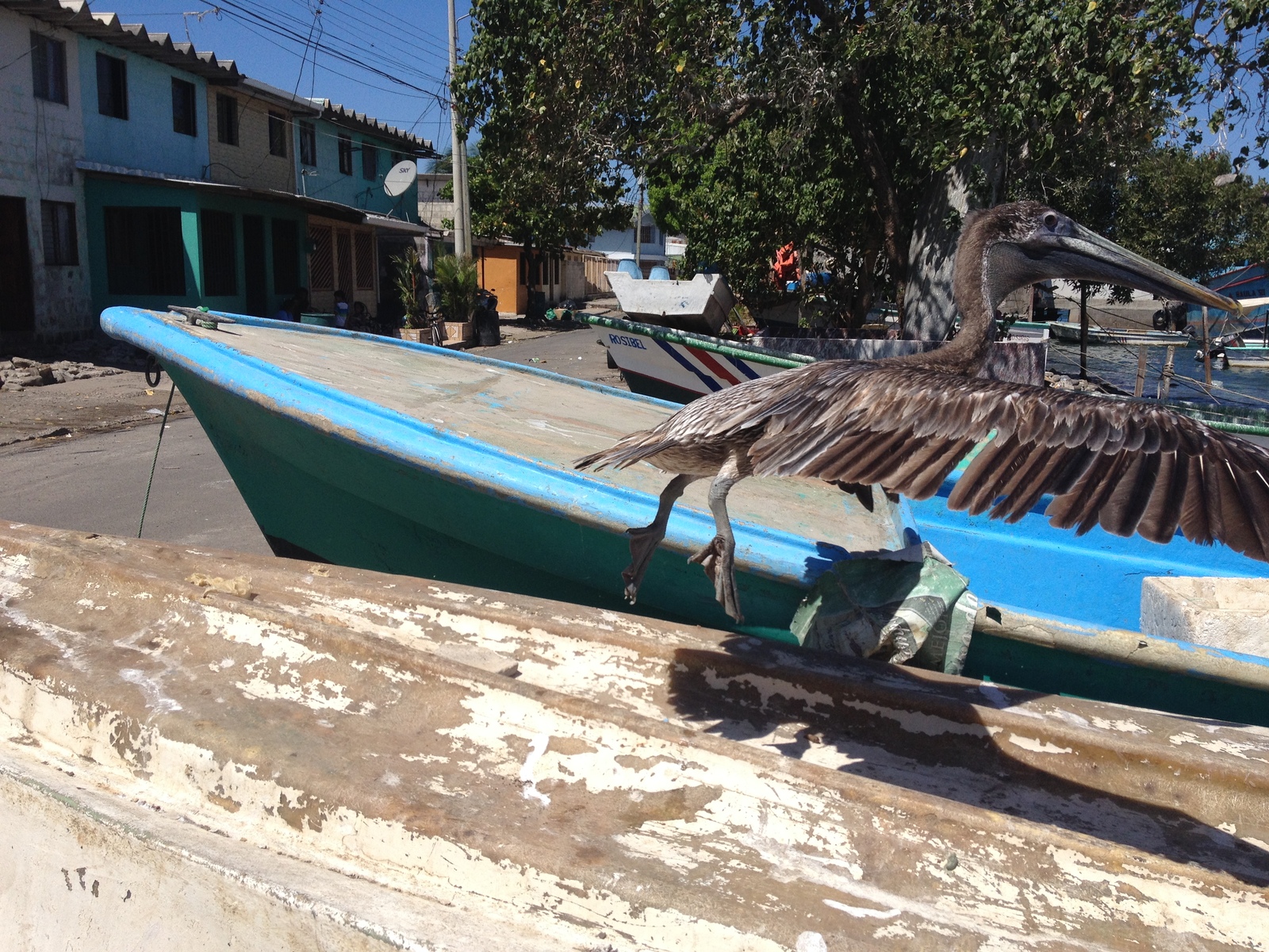 Photo Costa Rica Puntarenas 2015-03 63