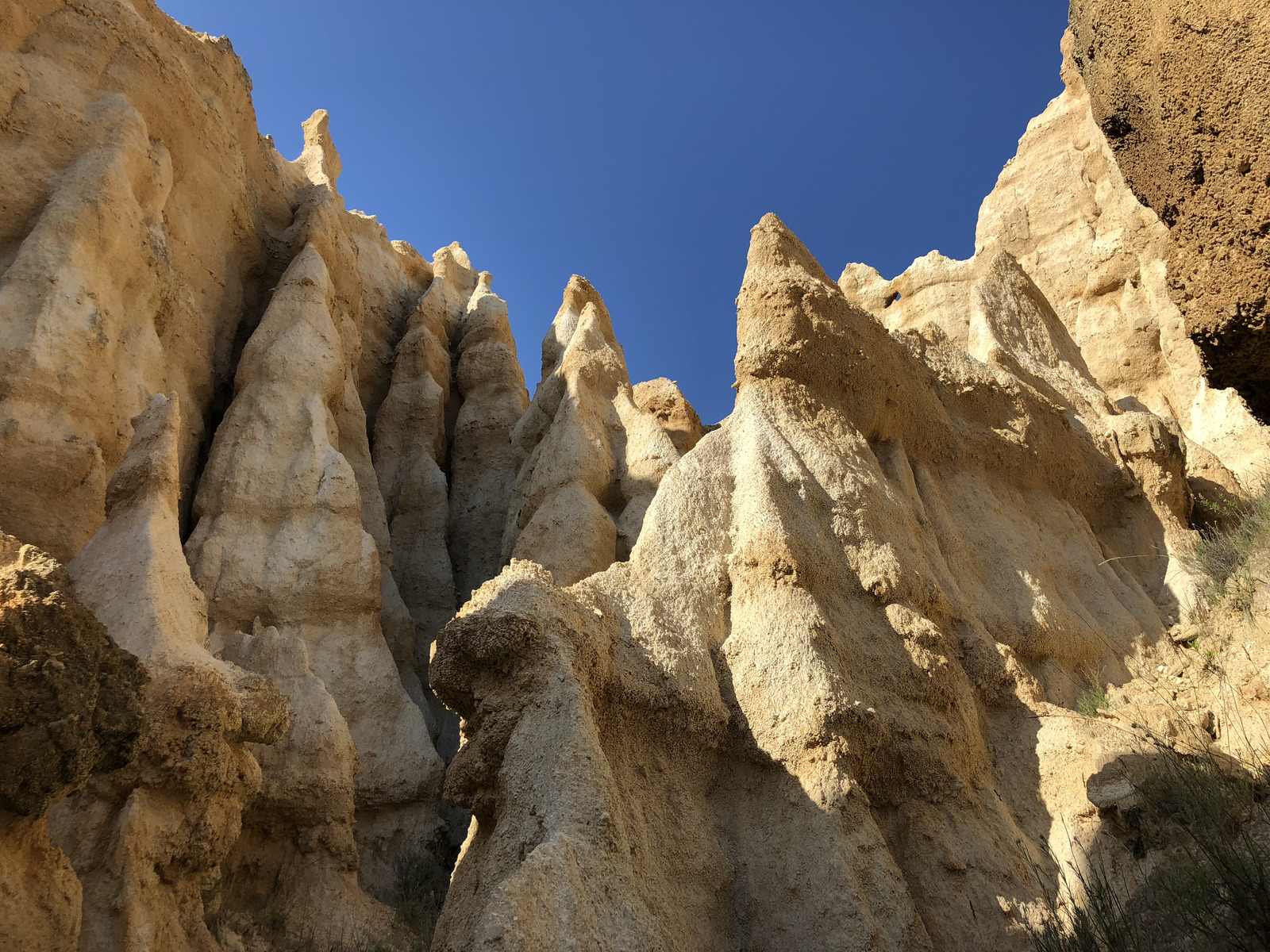 Photo France Orgues d'Ille Sur Tet 2018-04 86