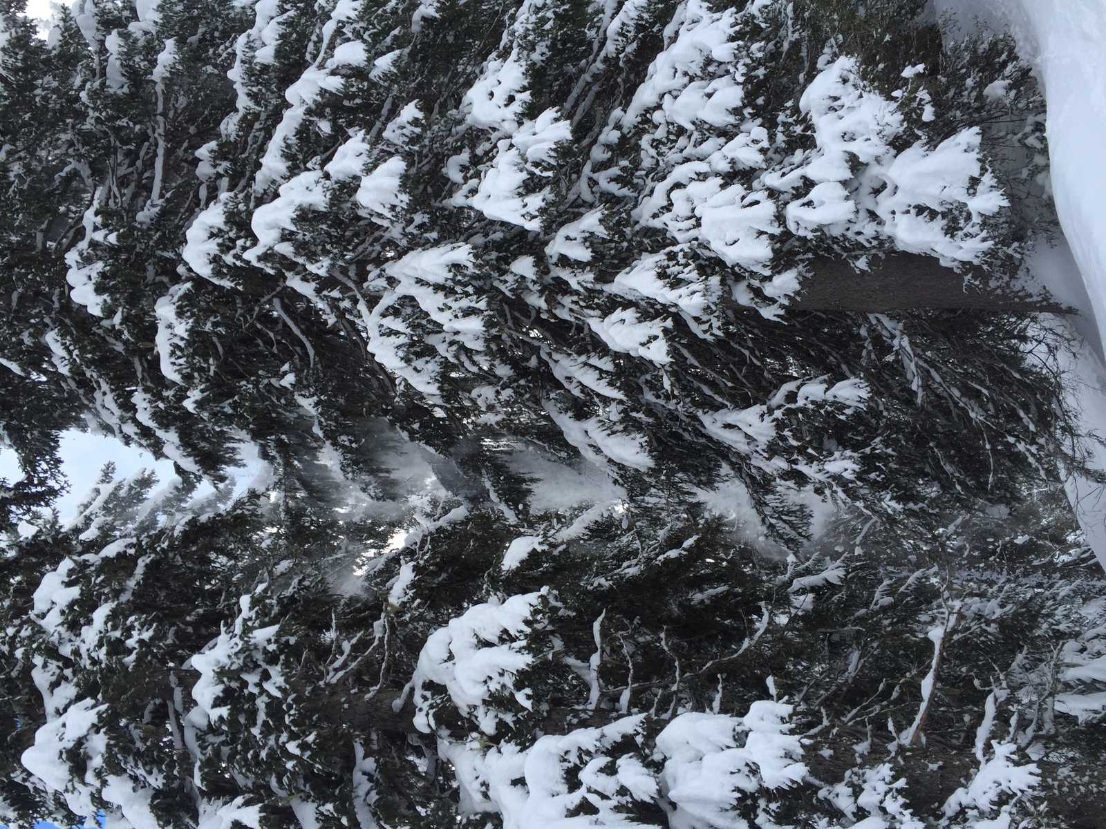Photo France Megève 2016-02 62