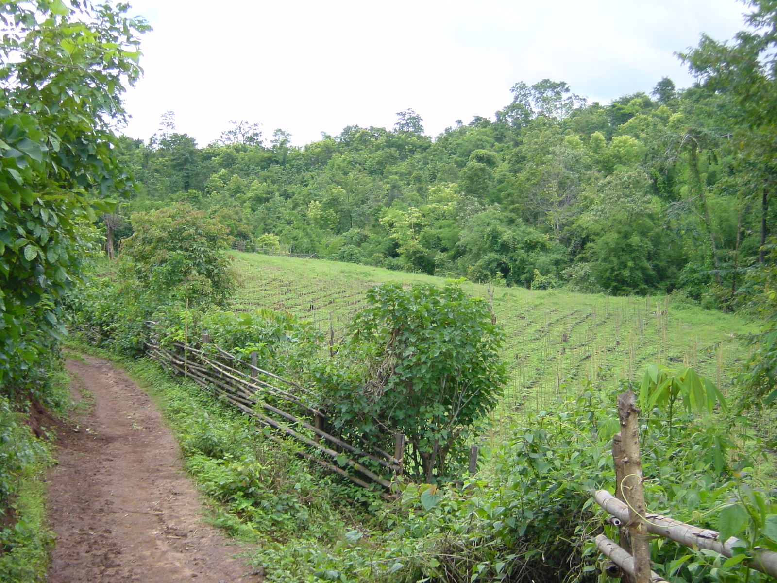 Photo Thaïlande Mae Hong Son 2003-07 29