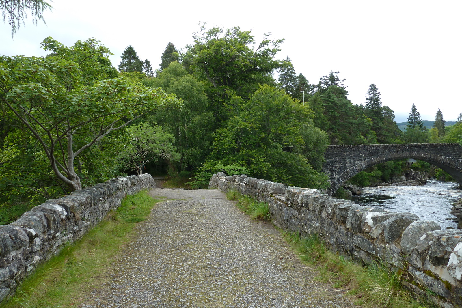 Photo Royaume-Uni Écosse Route du Loch Laggan au Loch Ness 2011-07 11