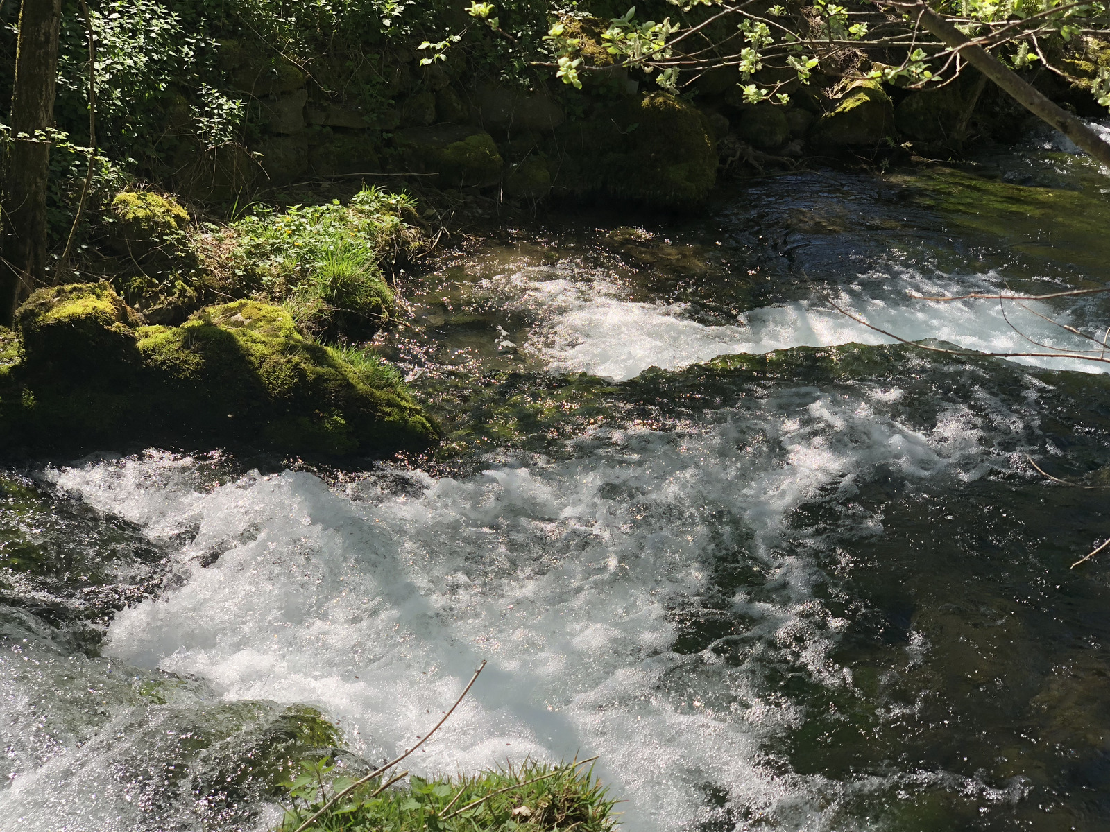 Photo France Salles la Source 2018-04 5
