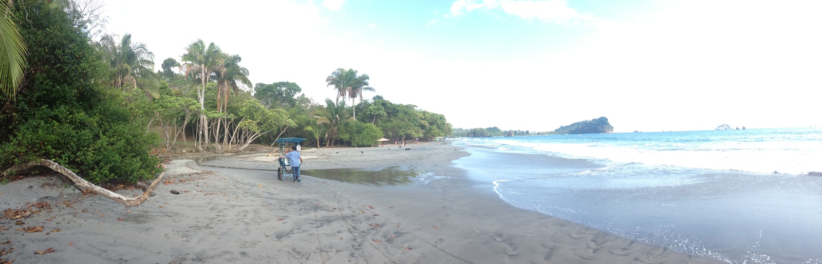 Photo Costa Rica Parc Manuel Antonio 2015-03 419