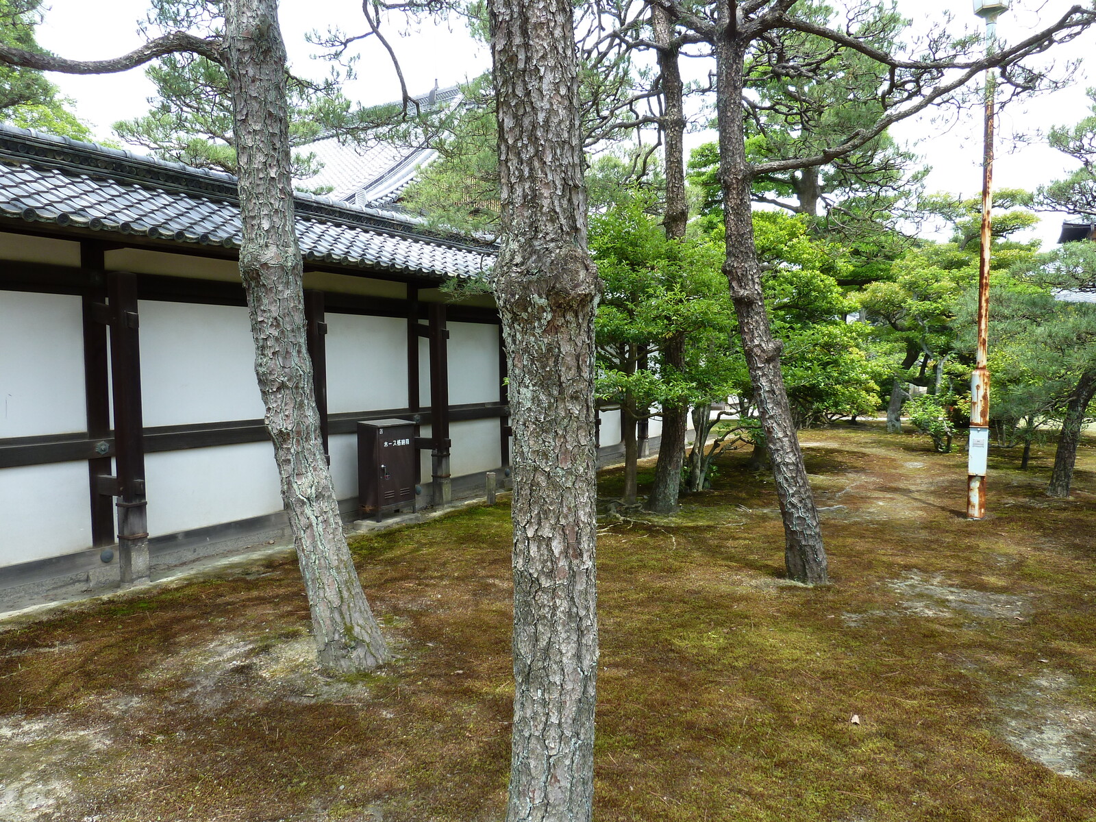 Photo Japon Kyoto Château Nijo Palais Honmaru 2010-06 61