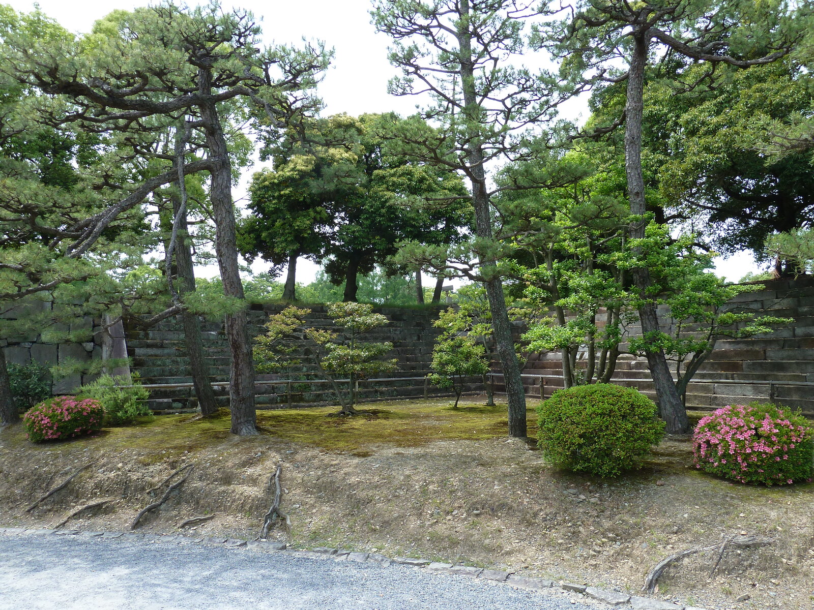 Photo Japon Kyoto Château Nijo Palais Honmaru 2010-06 49