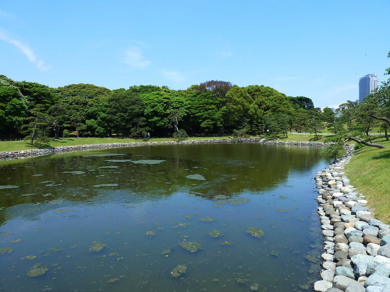 Photo Japon Tokyo Jardins Hama rikyu 2010-06 85