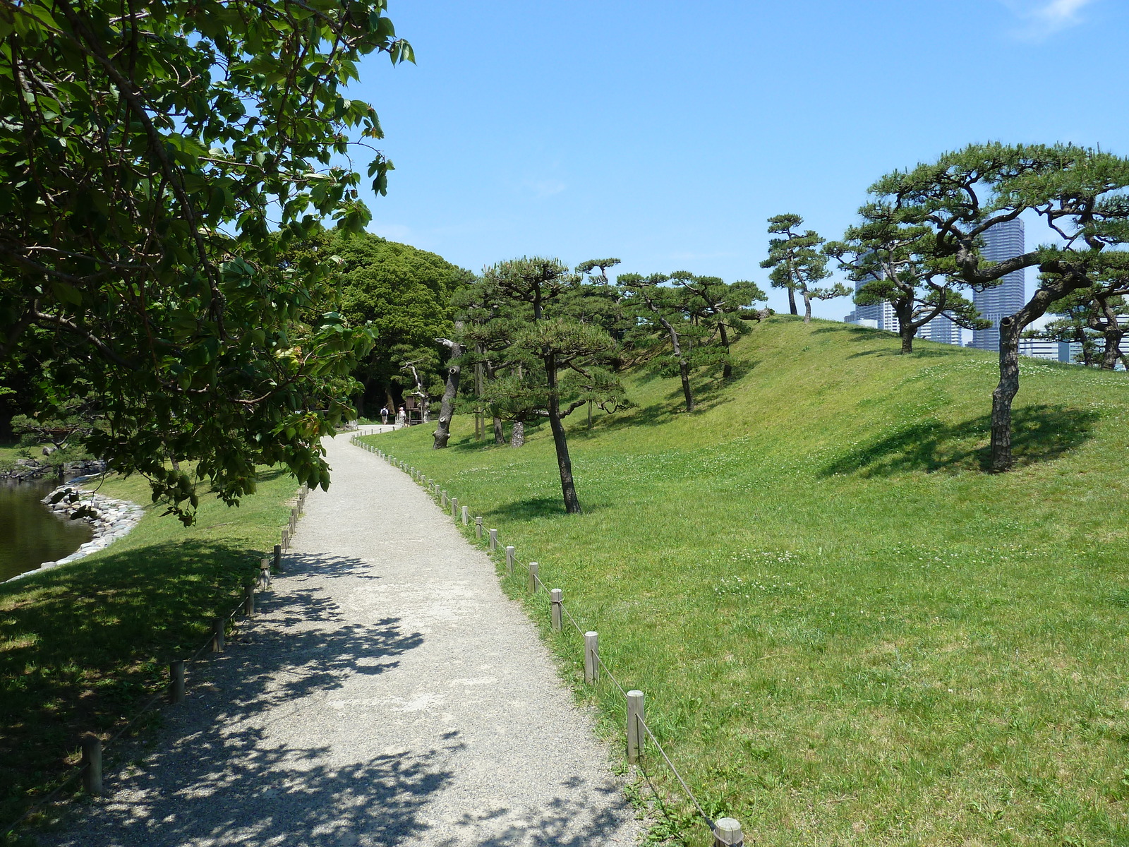 Photo Japon Tokyo Jardins Hama rikyu 2010-06 42
