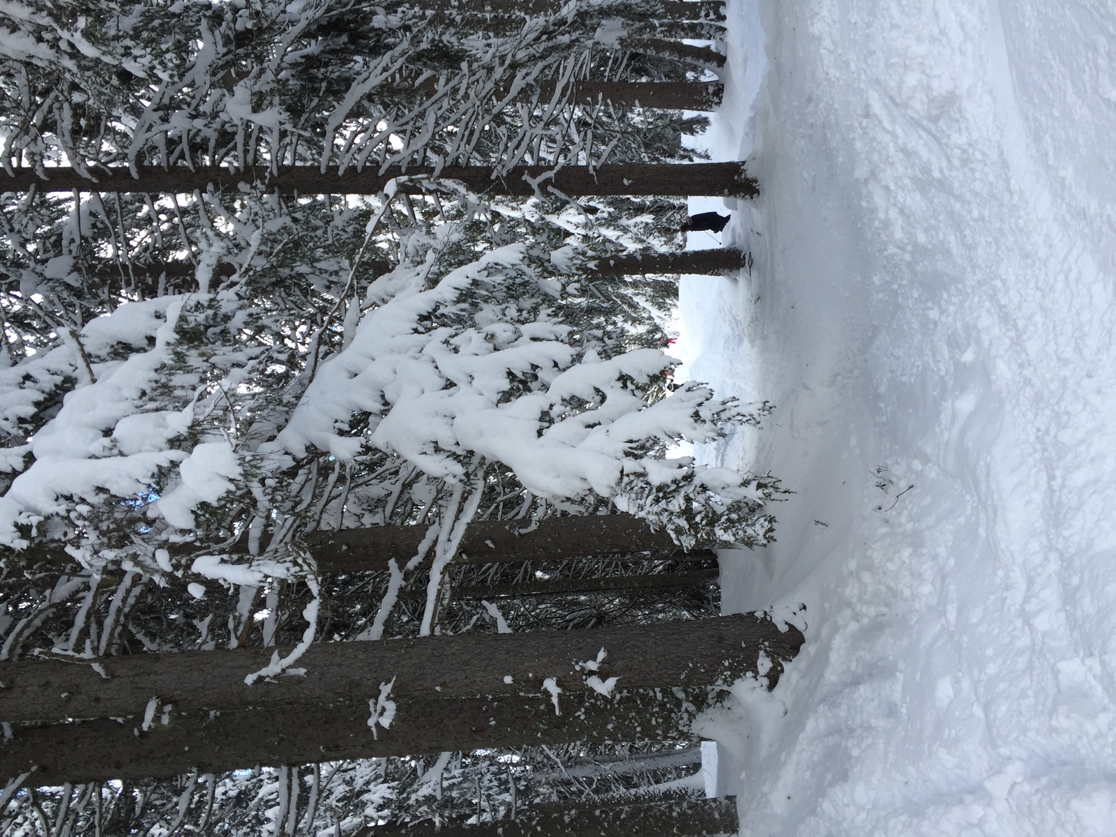 Photo France Megève 2016-02 73