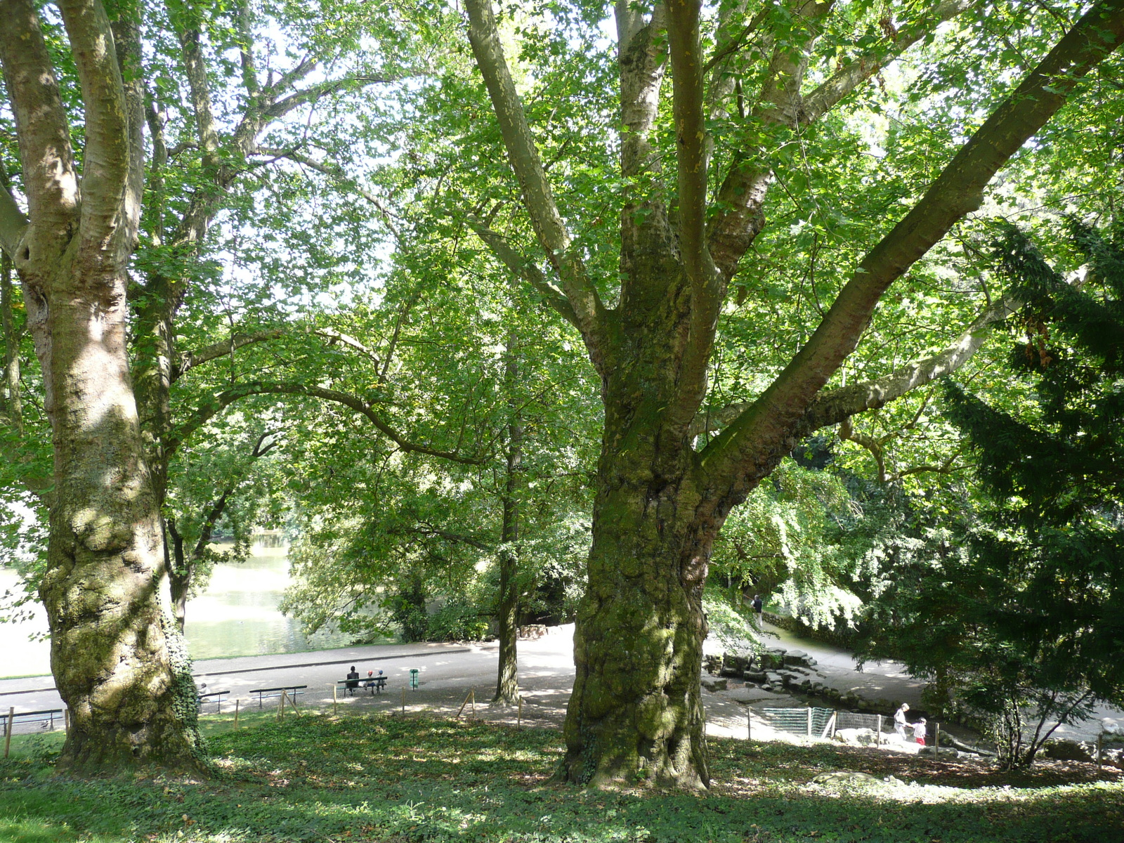 Photo France Paris Parc des Buttes-Chaumont 2007-08 273