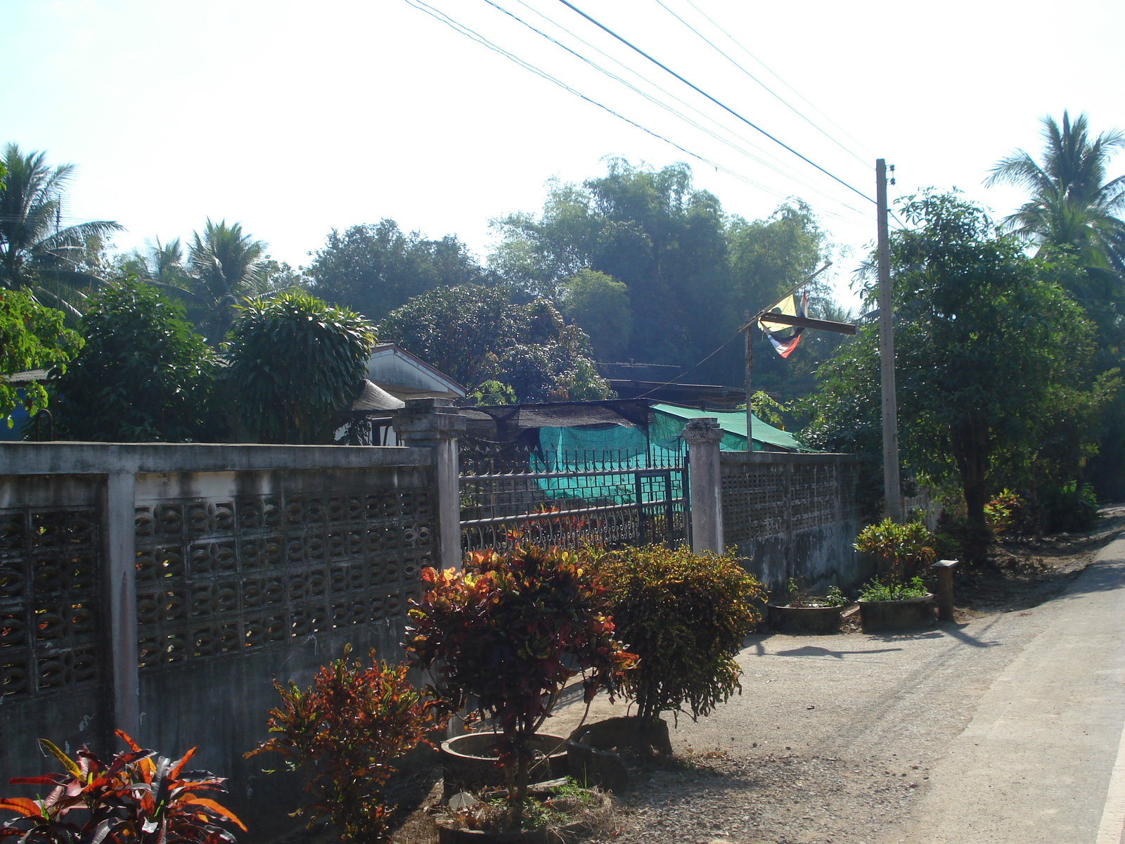 Photo Thaïlande Phitsanulok 2008-01 51