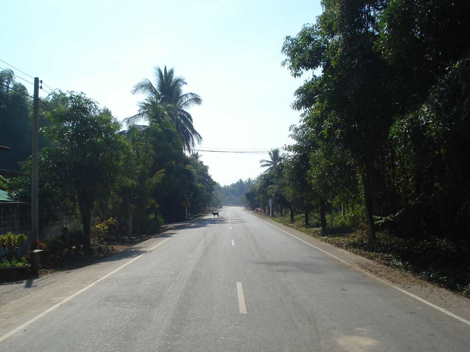 Photo Thaïlande Phitsanulok 2008-01 43
