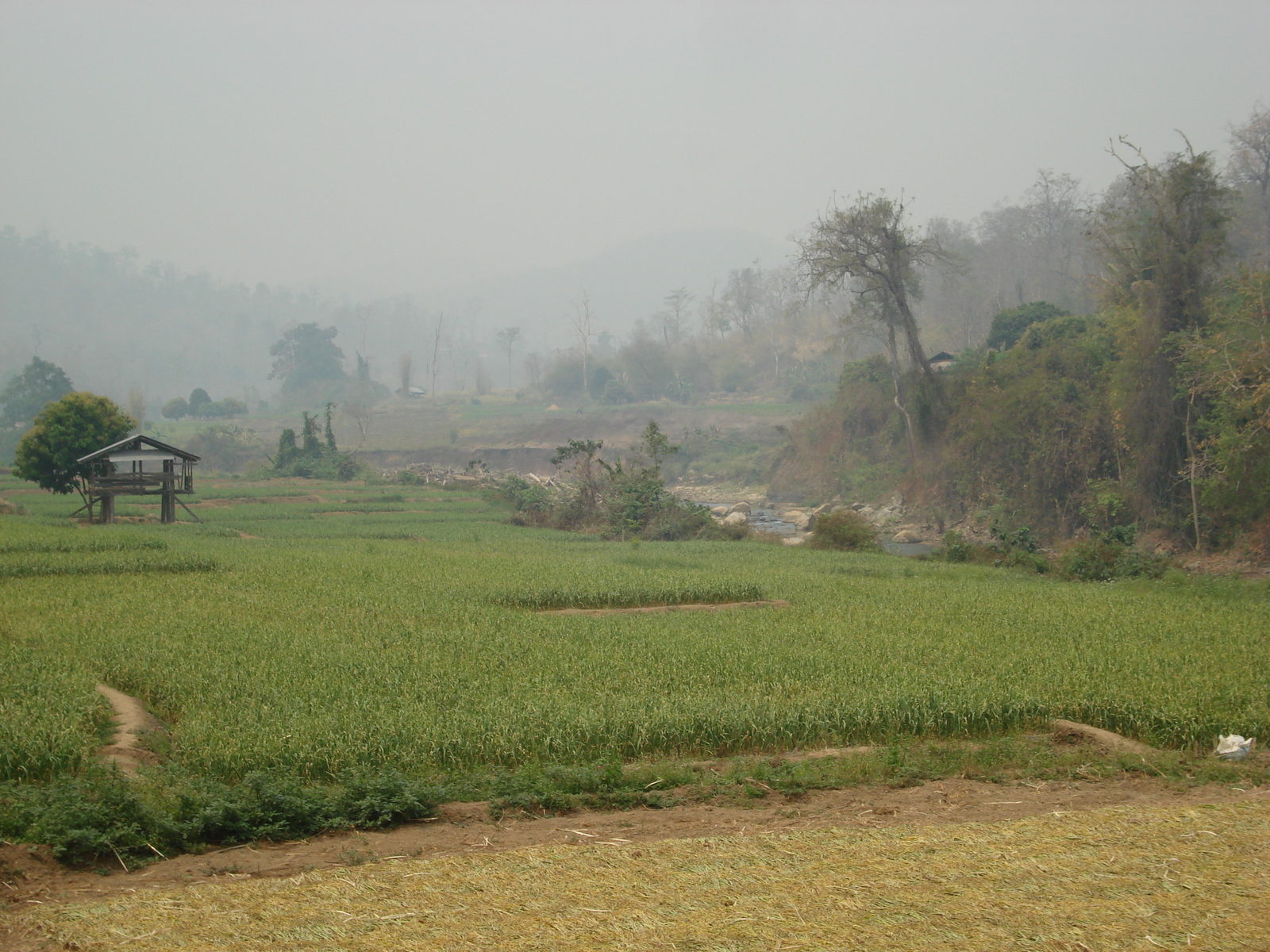 Photo Thaïlande Route de Pang Mapha à Pai 2007-02 24