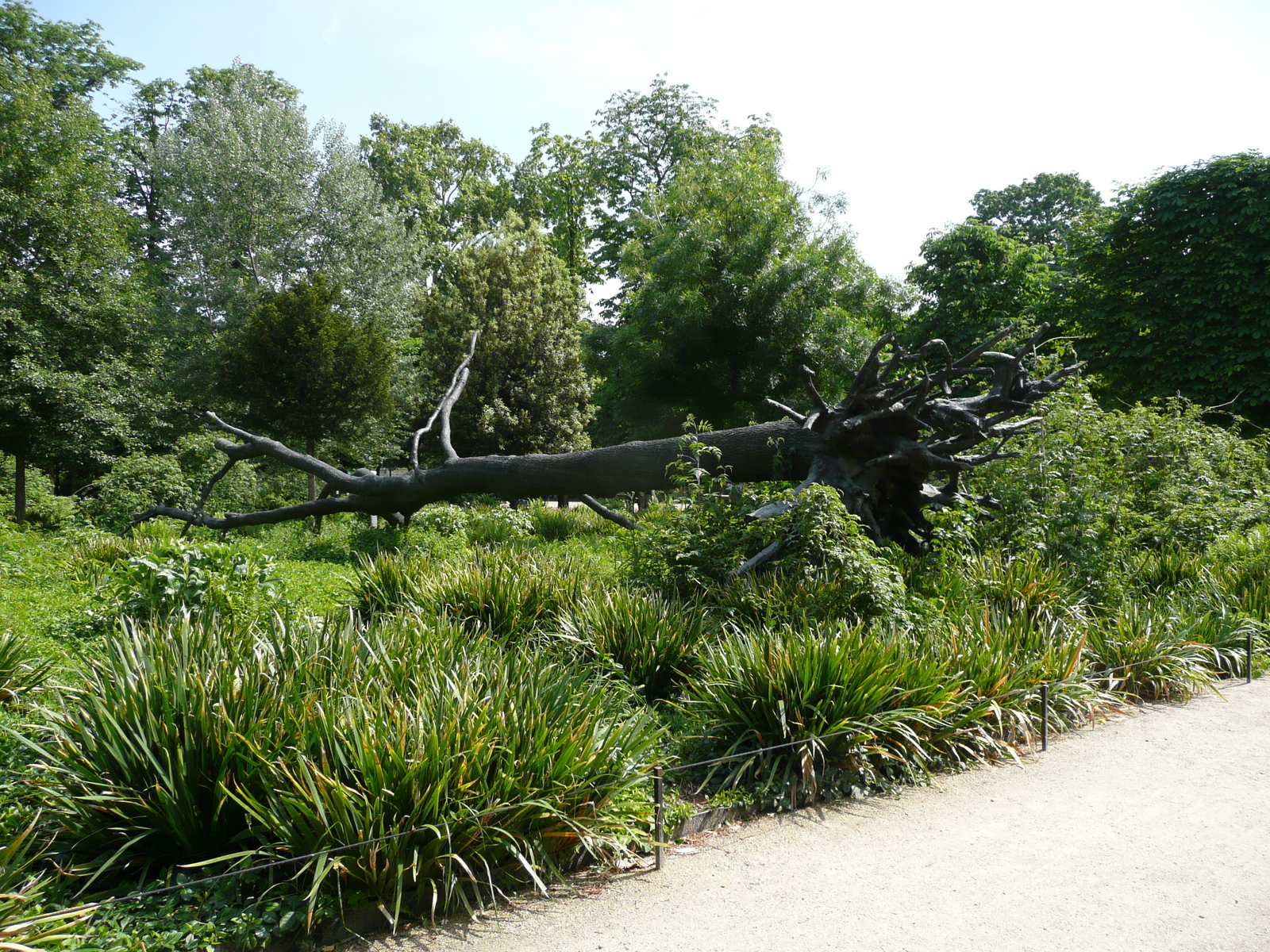 Photo France Paris Jardin des Tuileries 2007-05 260